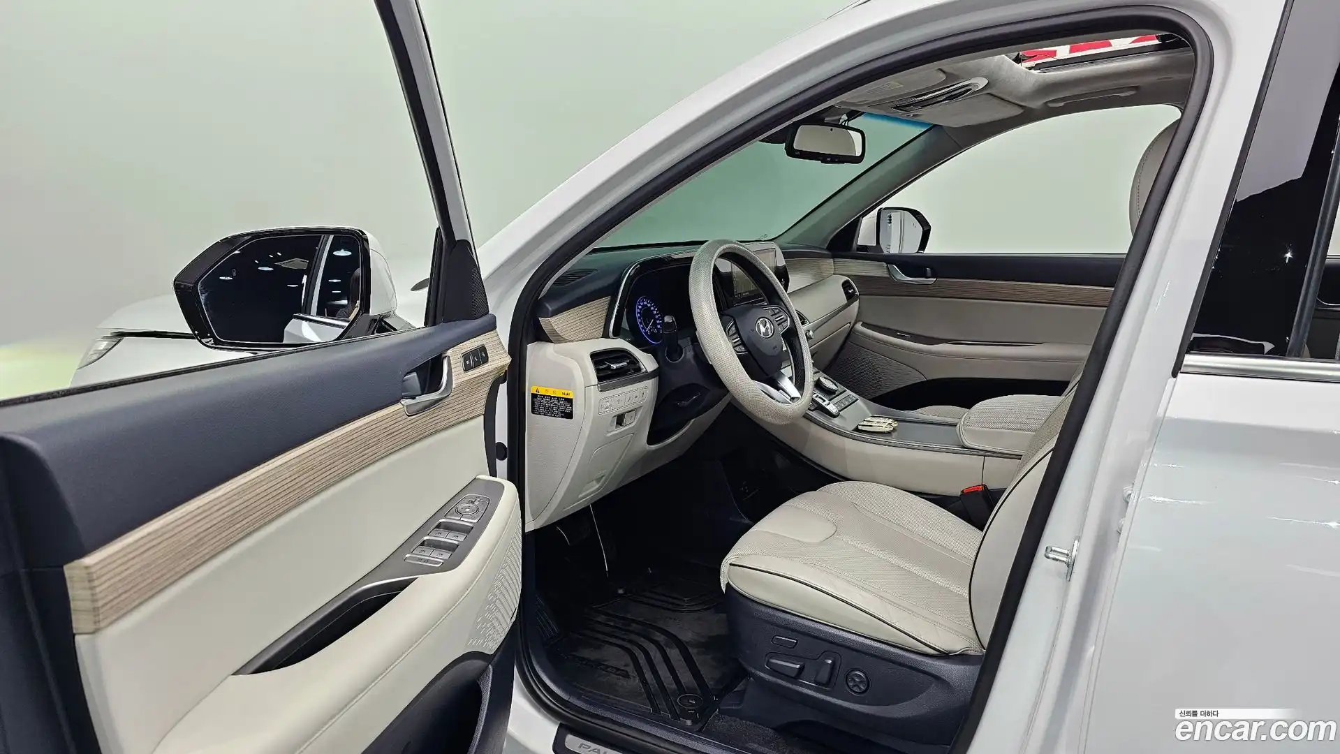 Palisade Hyundai 2018.11-OPTION-015