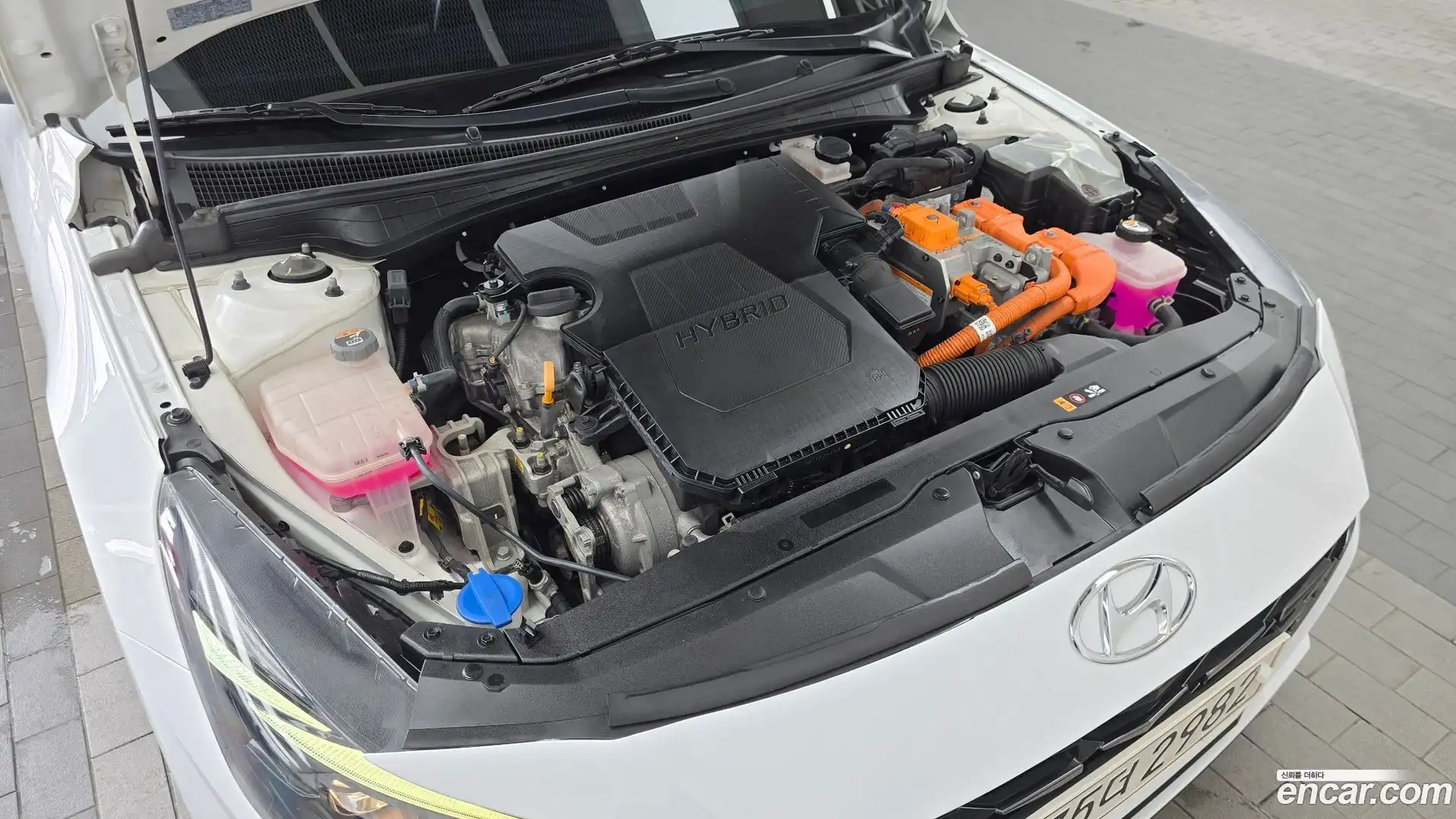 AVANTE Hyundai 2022.5-OUTER-006