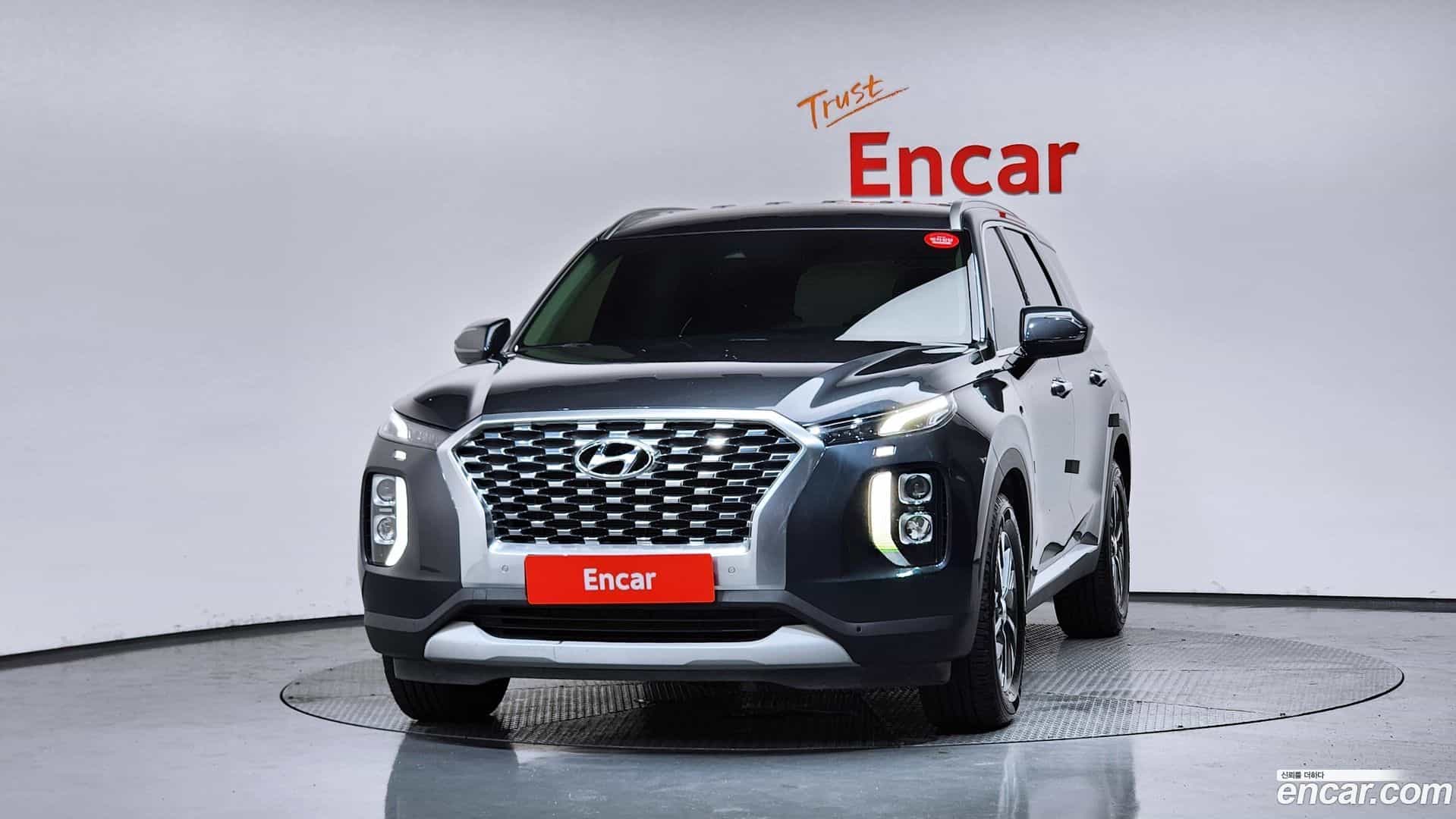 Palisade Hyundai 2020.2-OUTER-003