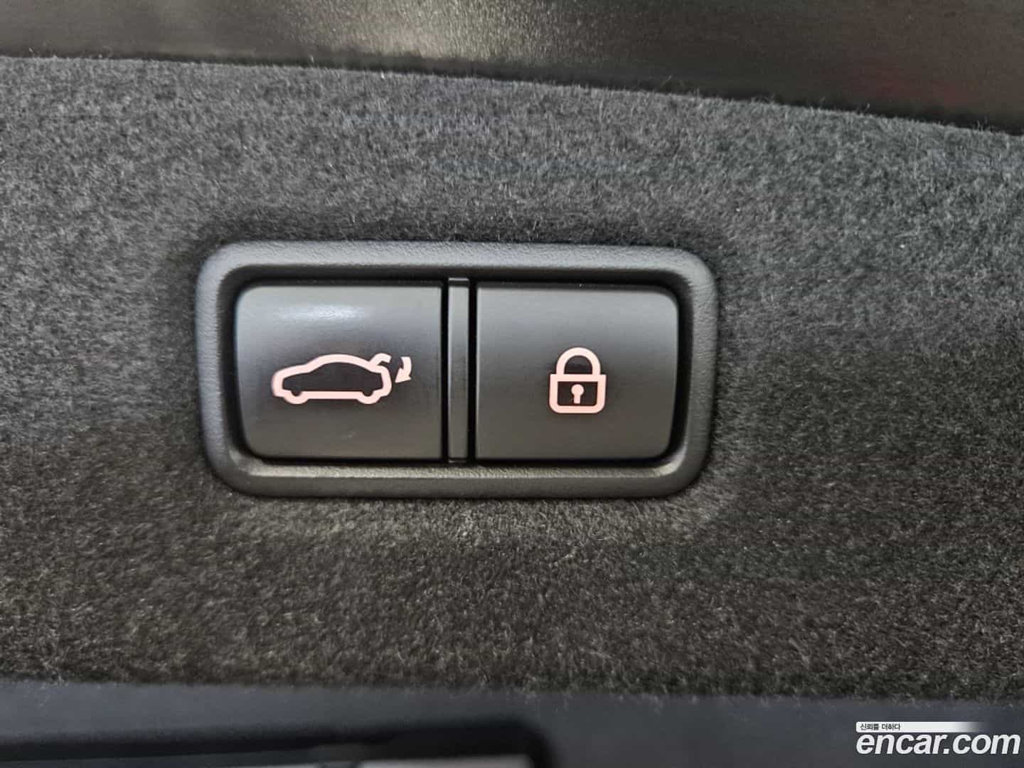 G90 Genesis 2020.0-OPTION-020