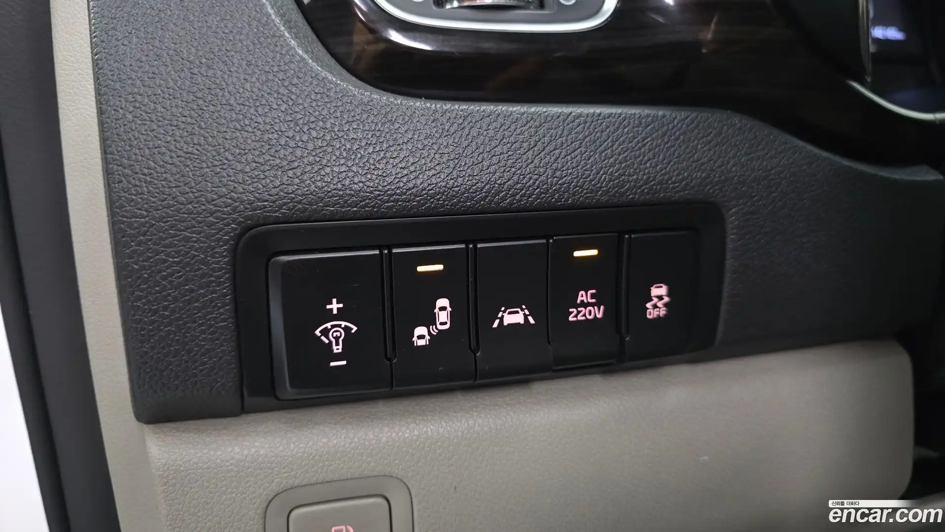 Canival Kia 2018.10-OPTION-017