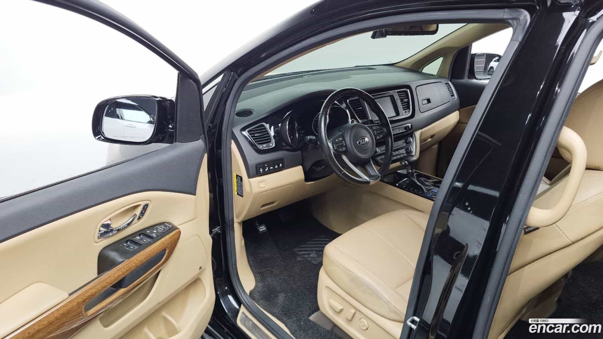 Canival Kia 2017.5-OPTION-015