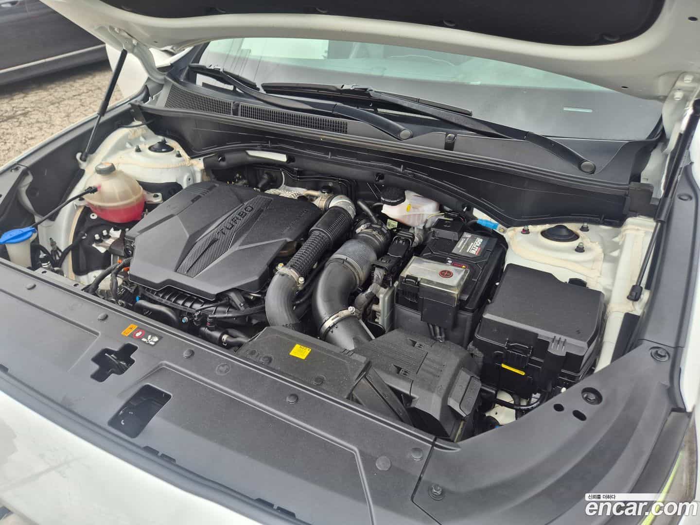 Santafe Hyundai 2022.5-OPTION-023