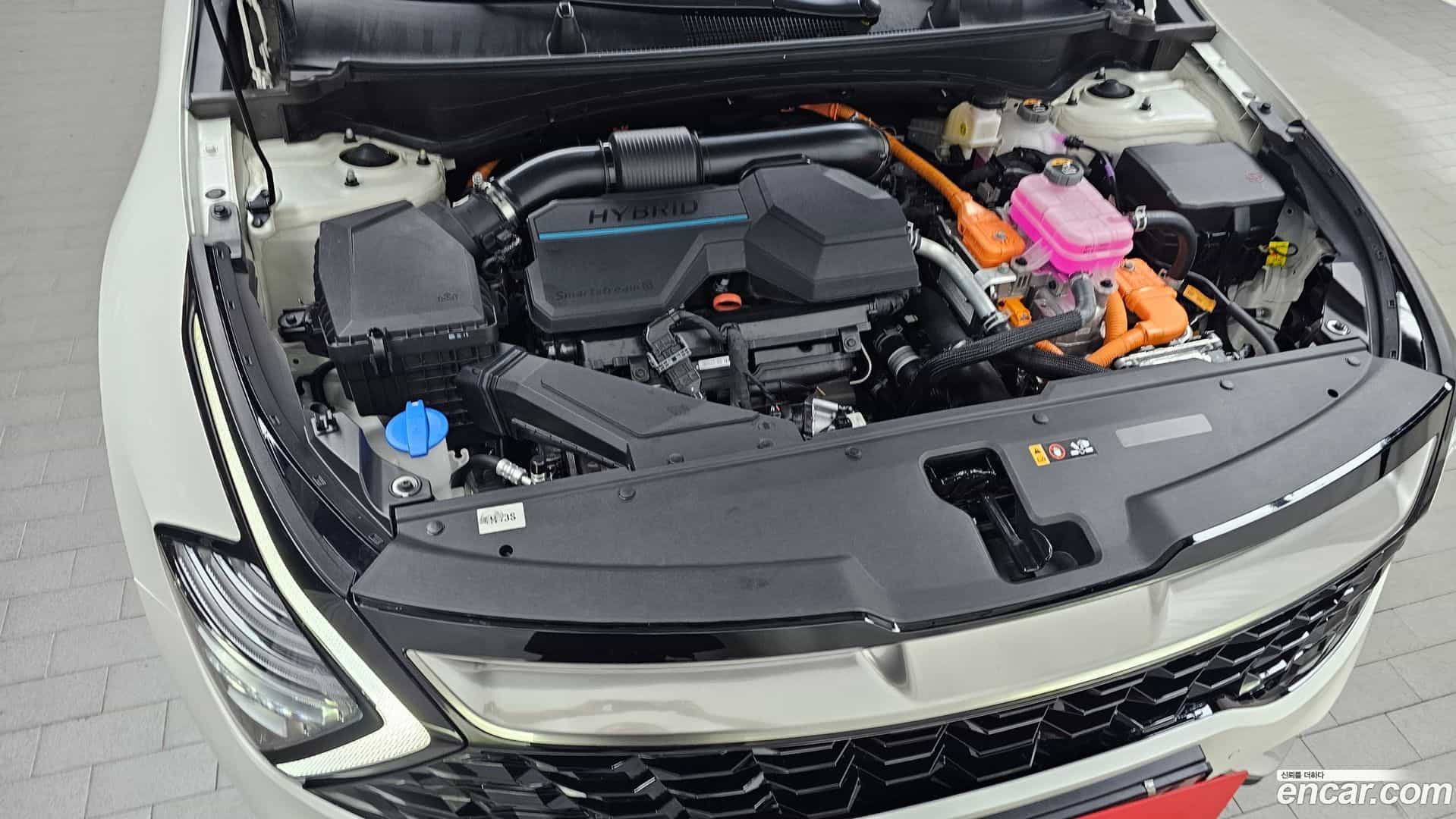 Sportage Kia 2024.7-OUTER-006