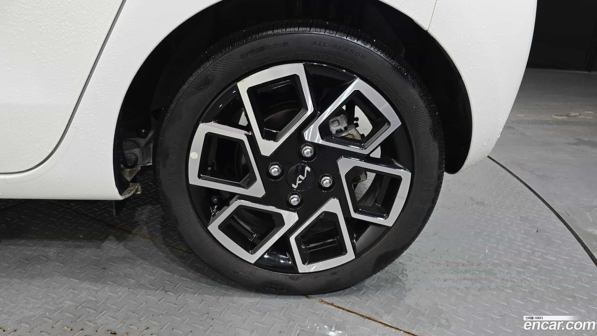 RAY Kia 2024.6-OUTER-031