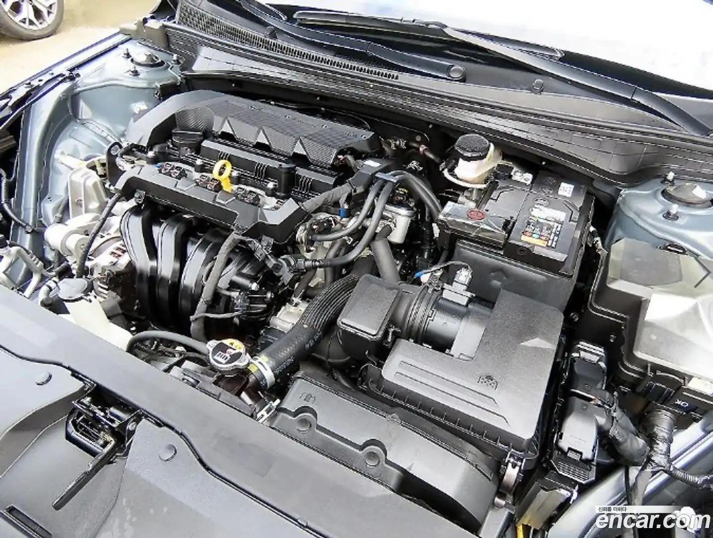 AVANTE Hyundai 2021.8-OPTION-023