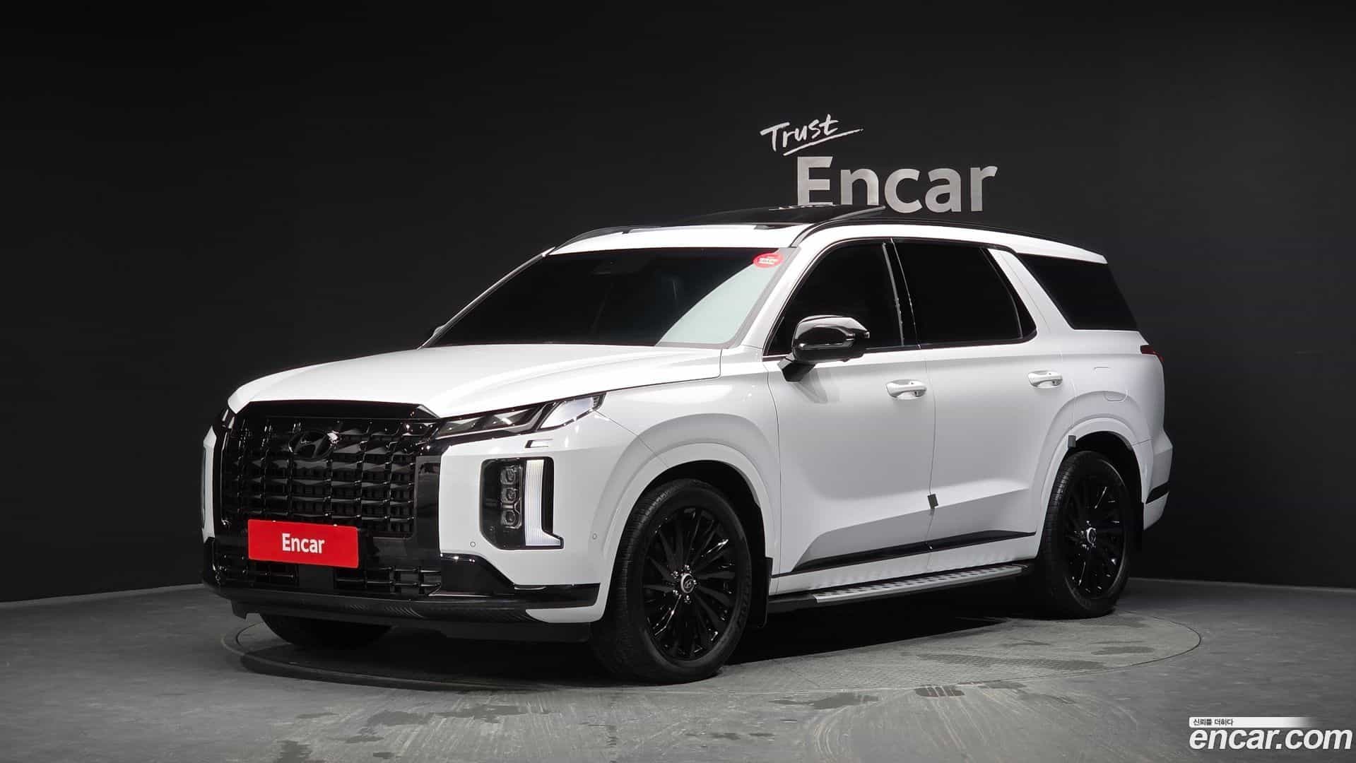 Palisade Hyundai 2023.9-OUTER-001