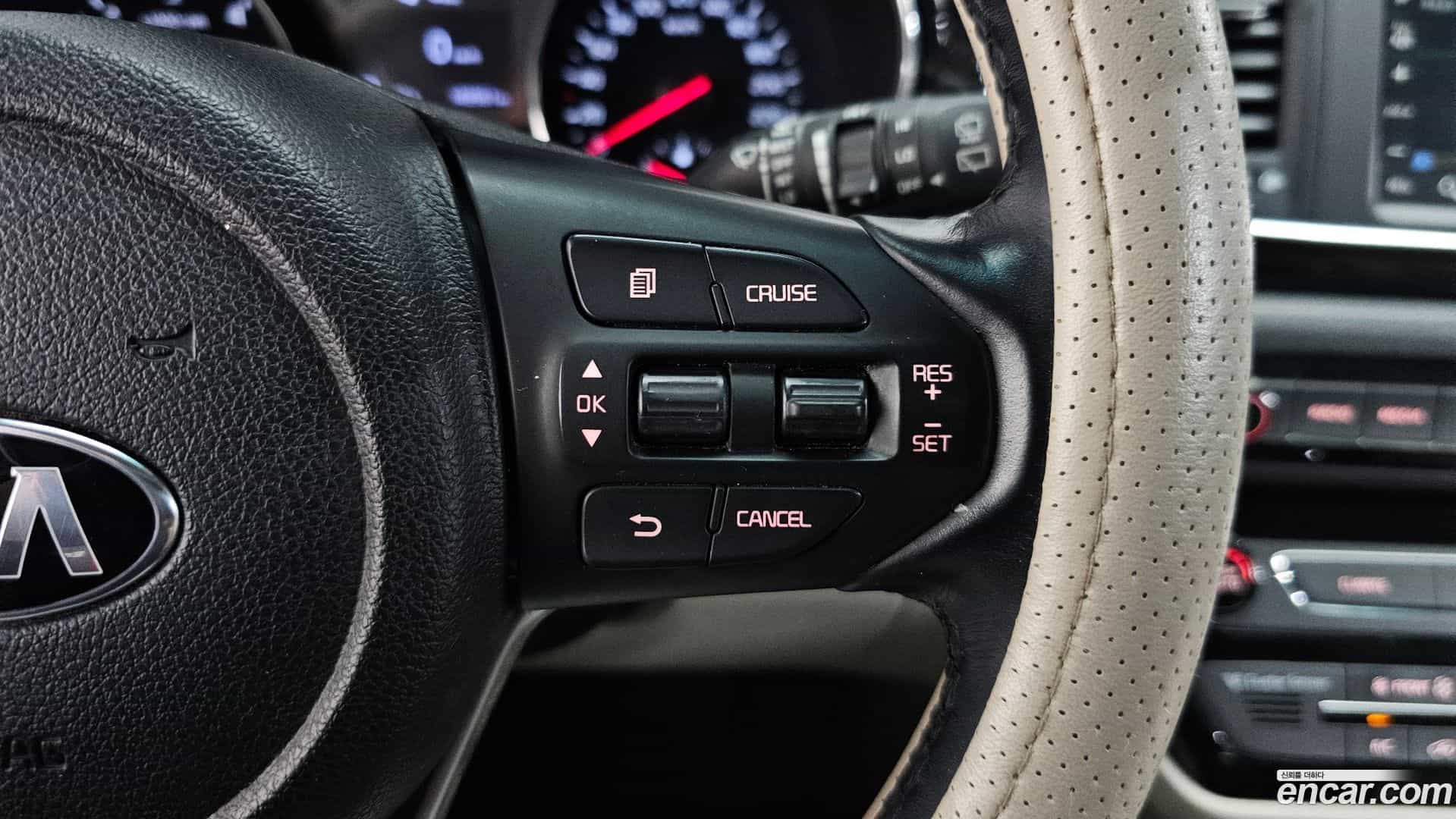 Canival Kia 2018.10-OPTION-019