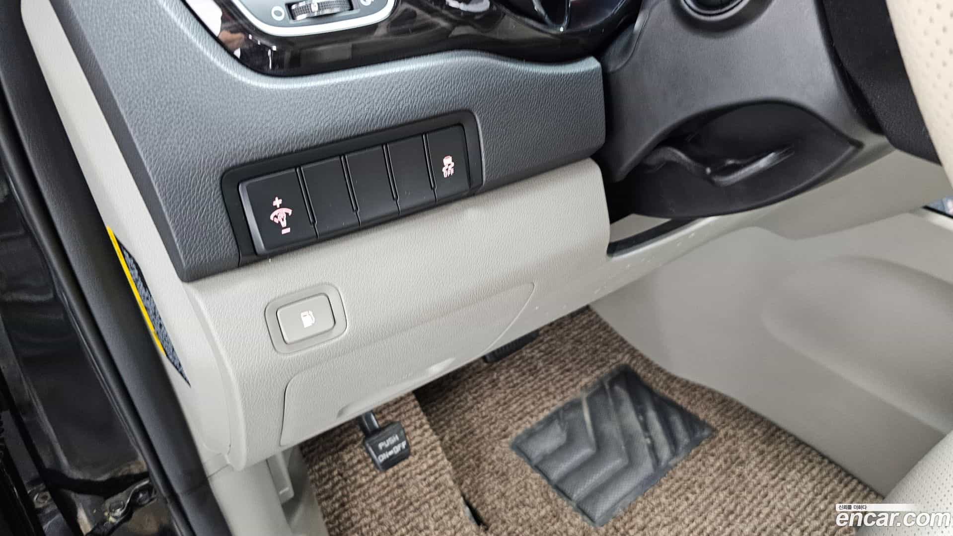 Canival Kia 2018.10-OPTION-023