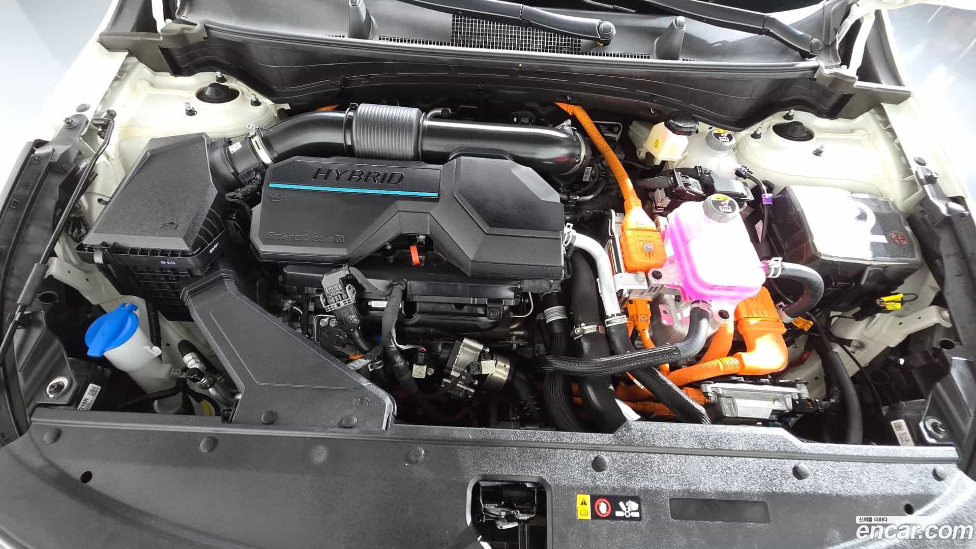 Sportage Kia 2024.6-OUTER-006