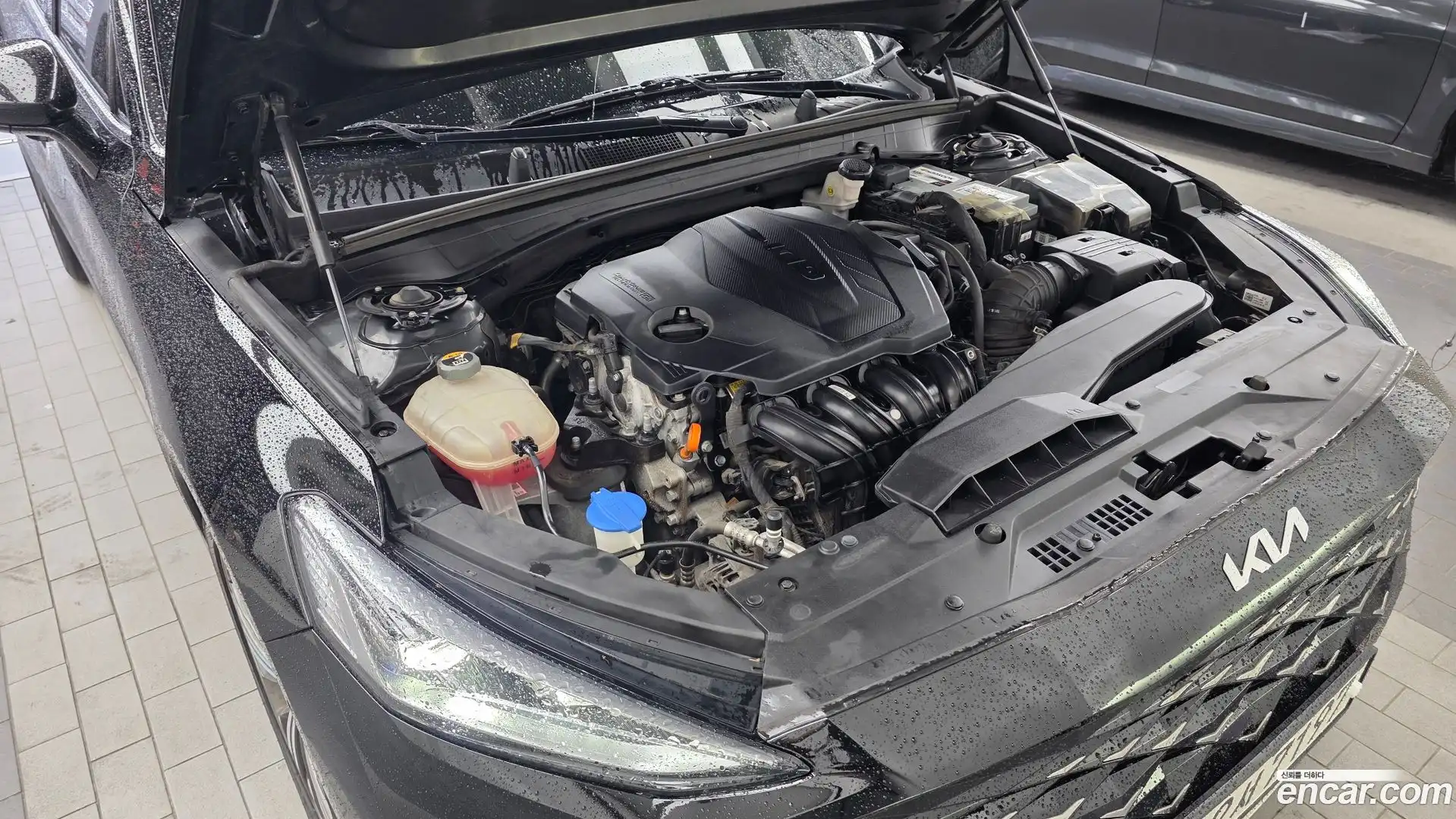 K8 Kia 2021.5-OUTER-006