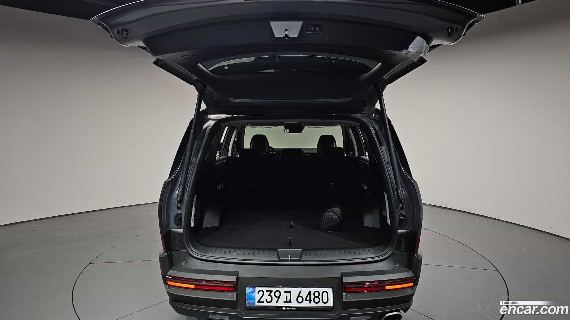 Santafe Hyundai 2025.3-OPTION-024