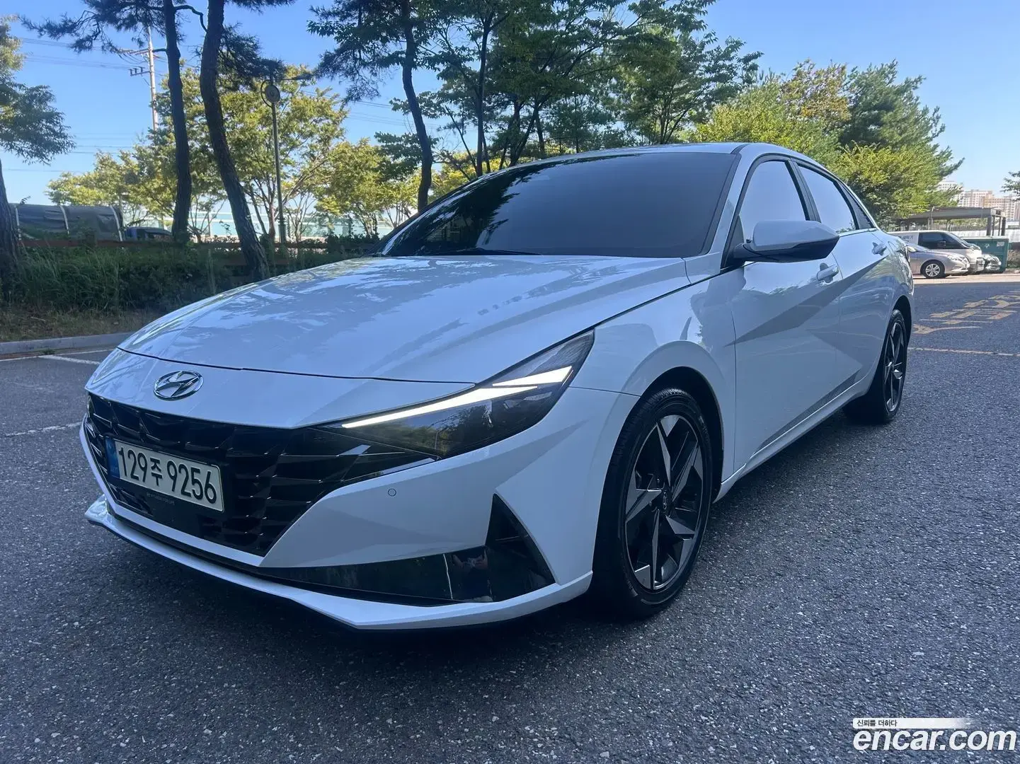 Main__Slider__Photo:AVANTE Hyundai 2021.9-1