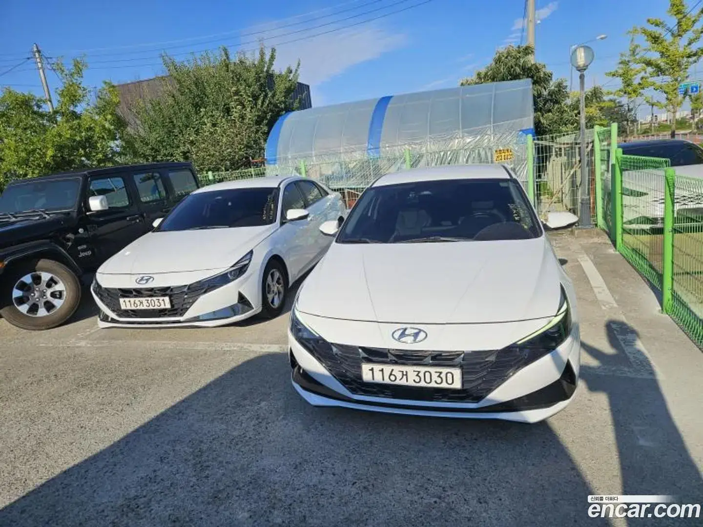 Main__Slider__Photo:AVANTE Hyundai 2020.8-1
