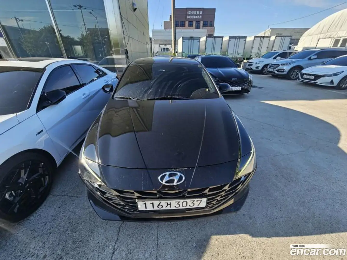 Main__Slider__Photo:AVANTE Hyundai 2022.5-1