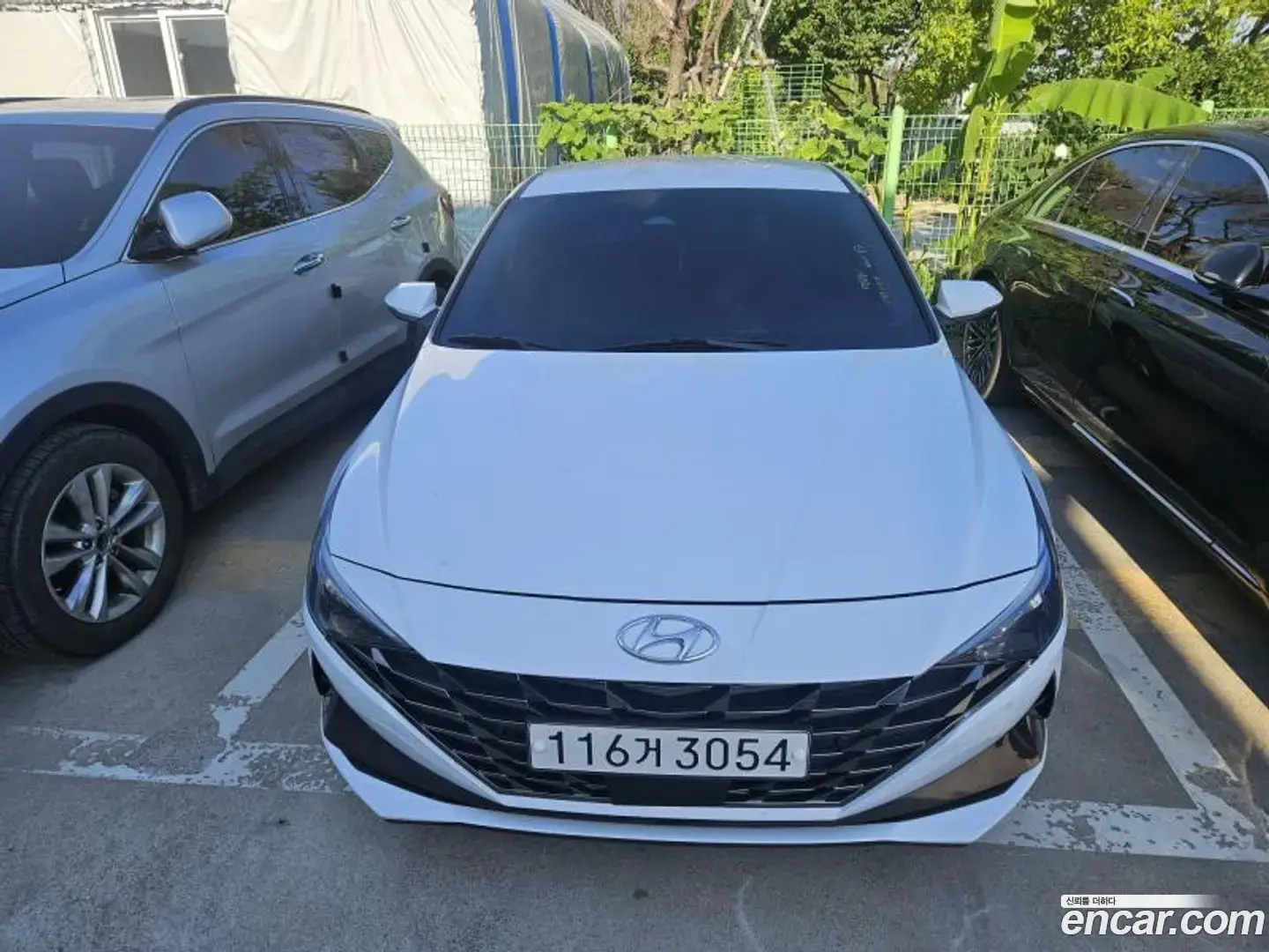 Main__Slider__Photo:AVANTE Hyundai 2020.9-1