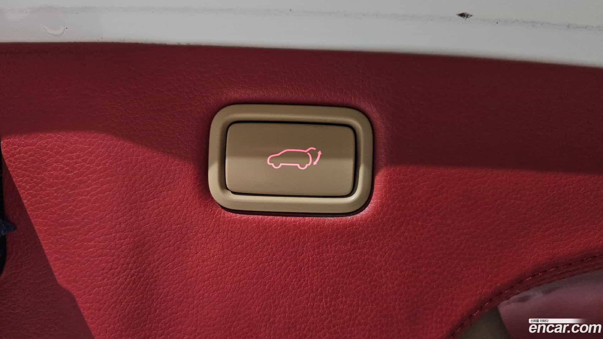 Canival Kia 2018.10-OPTION-024