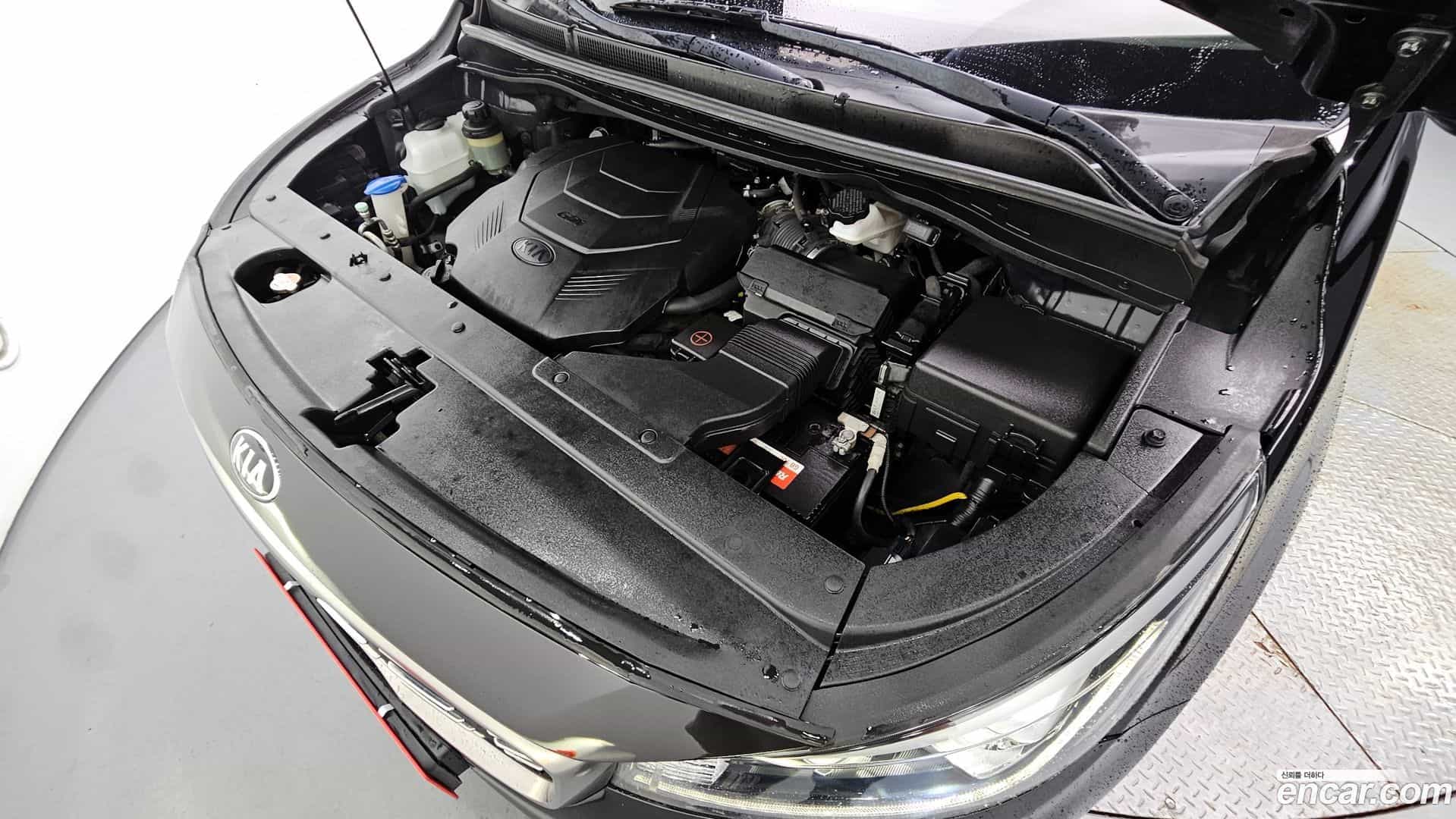 Canival Kia 2019.6-INNER-6