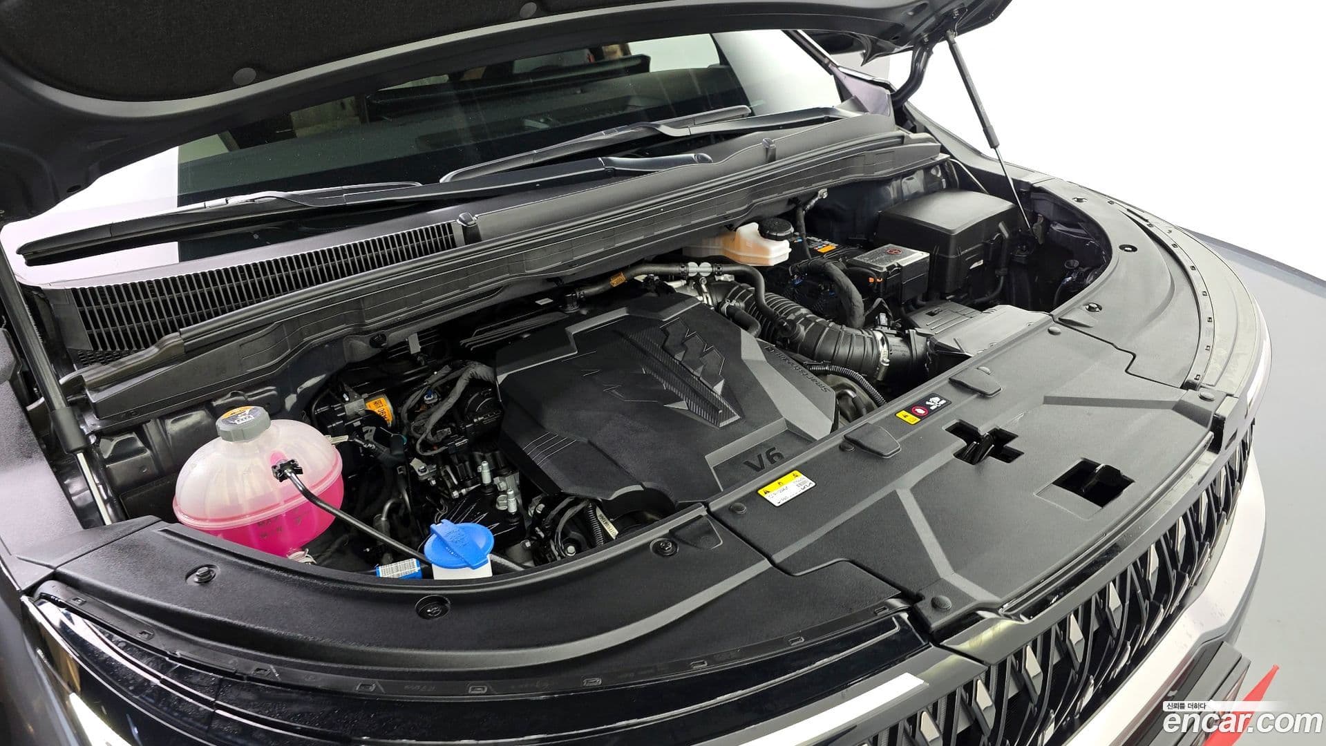 Main__Slider__Photo:Canival Kia 2024.4-5
