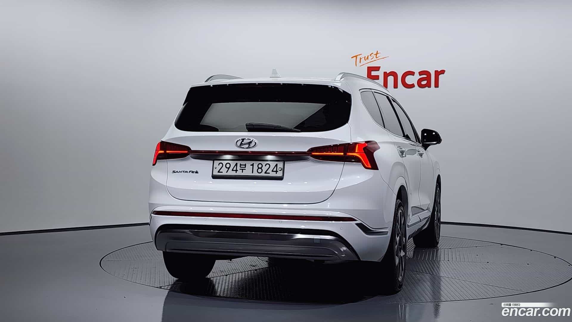 Santafe Hyundai 2020.6-OUTER-004