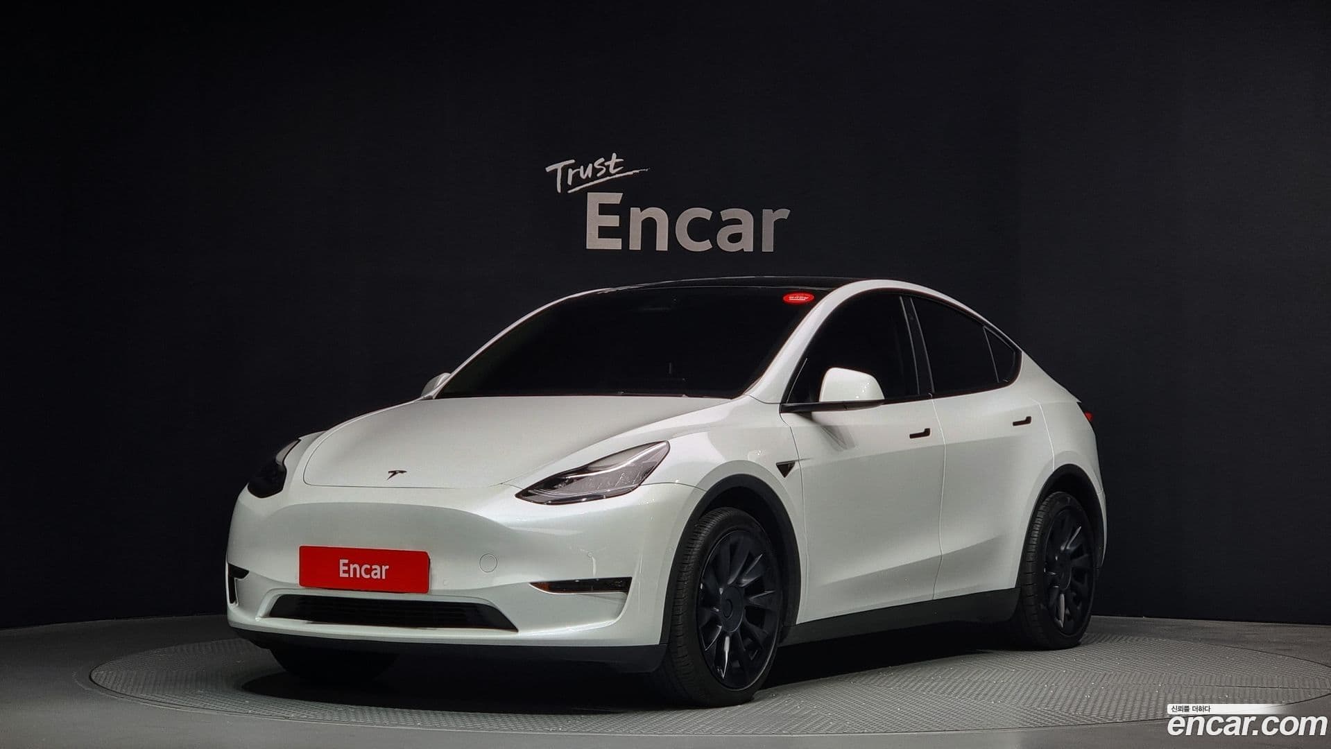 Main__Slider__Photo:Model Y Tesla 2022.10-0