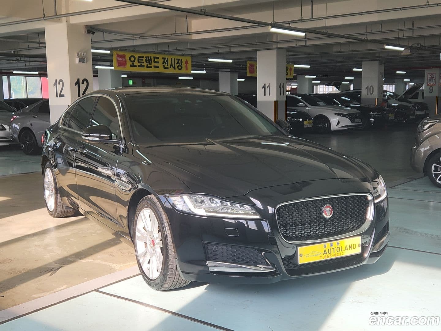 Main__Slider__Photo:XF Jaguar 2019.8-0