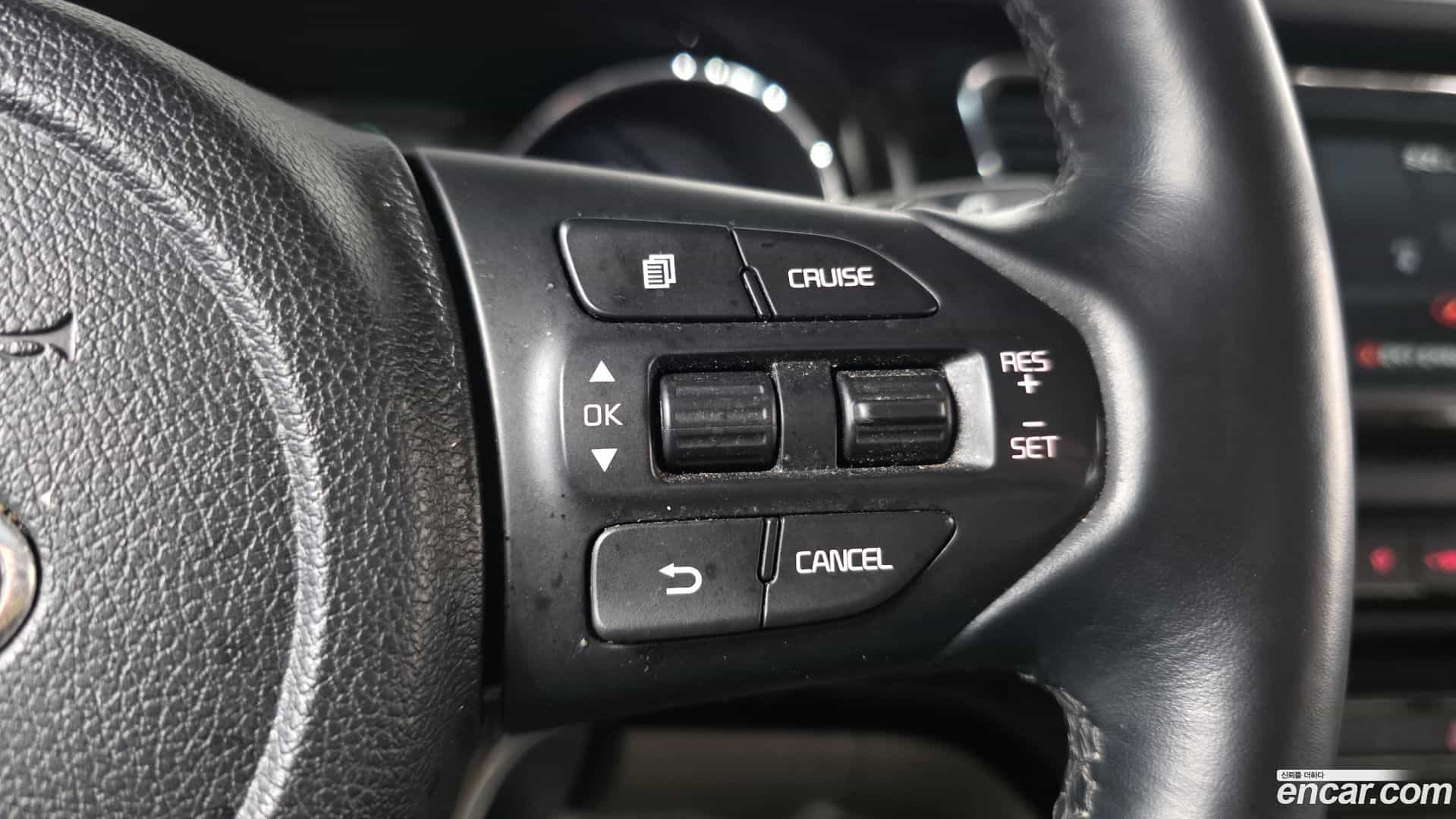 Canival Kia 2019.5-OPTION-021