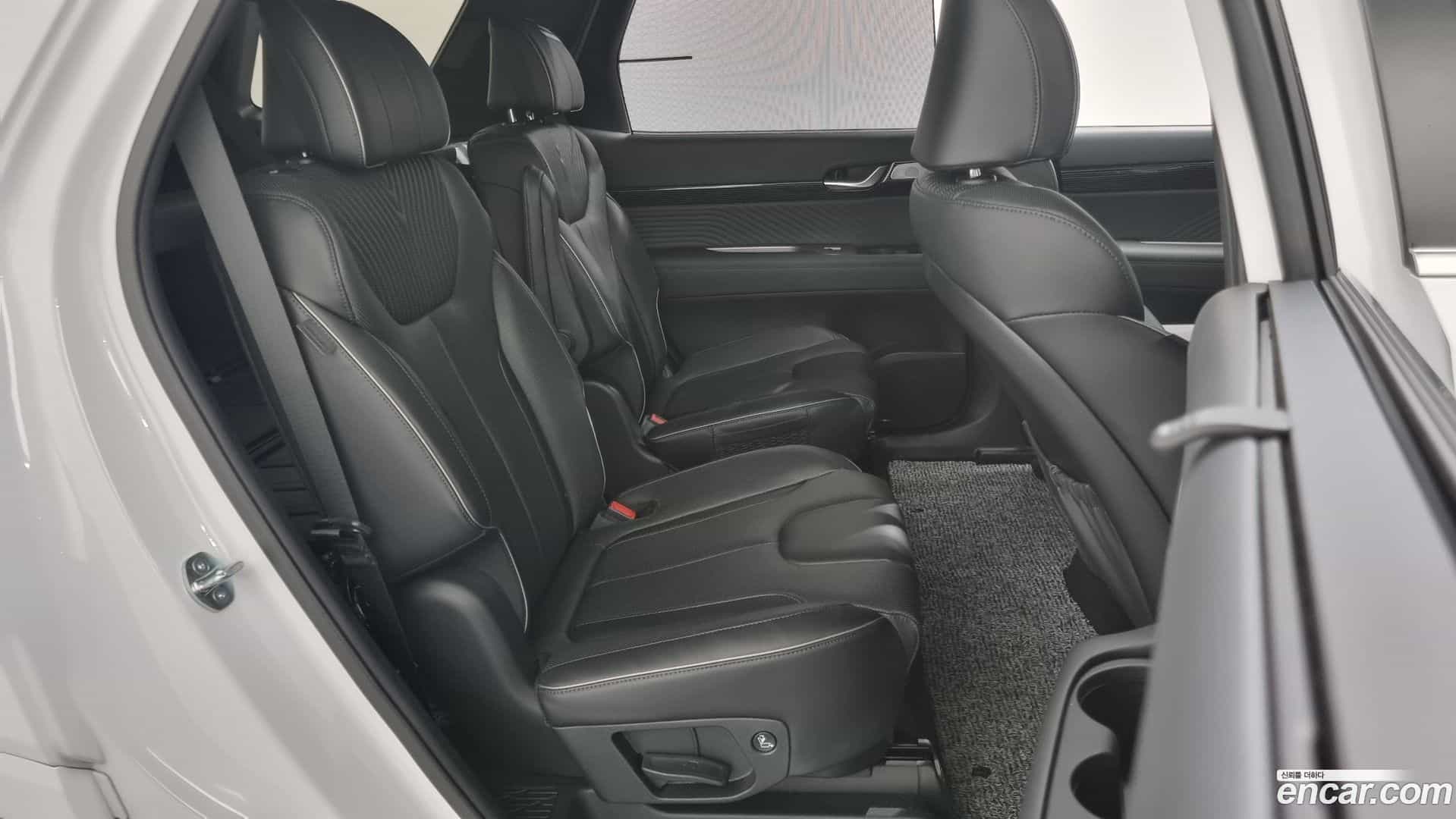 Palisade Hyundai 2023.10-OPTION-017