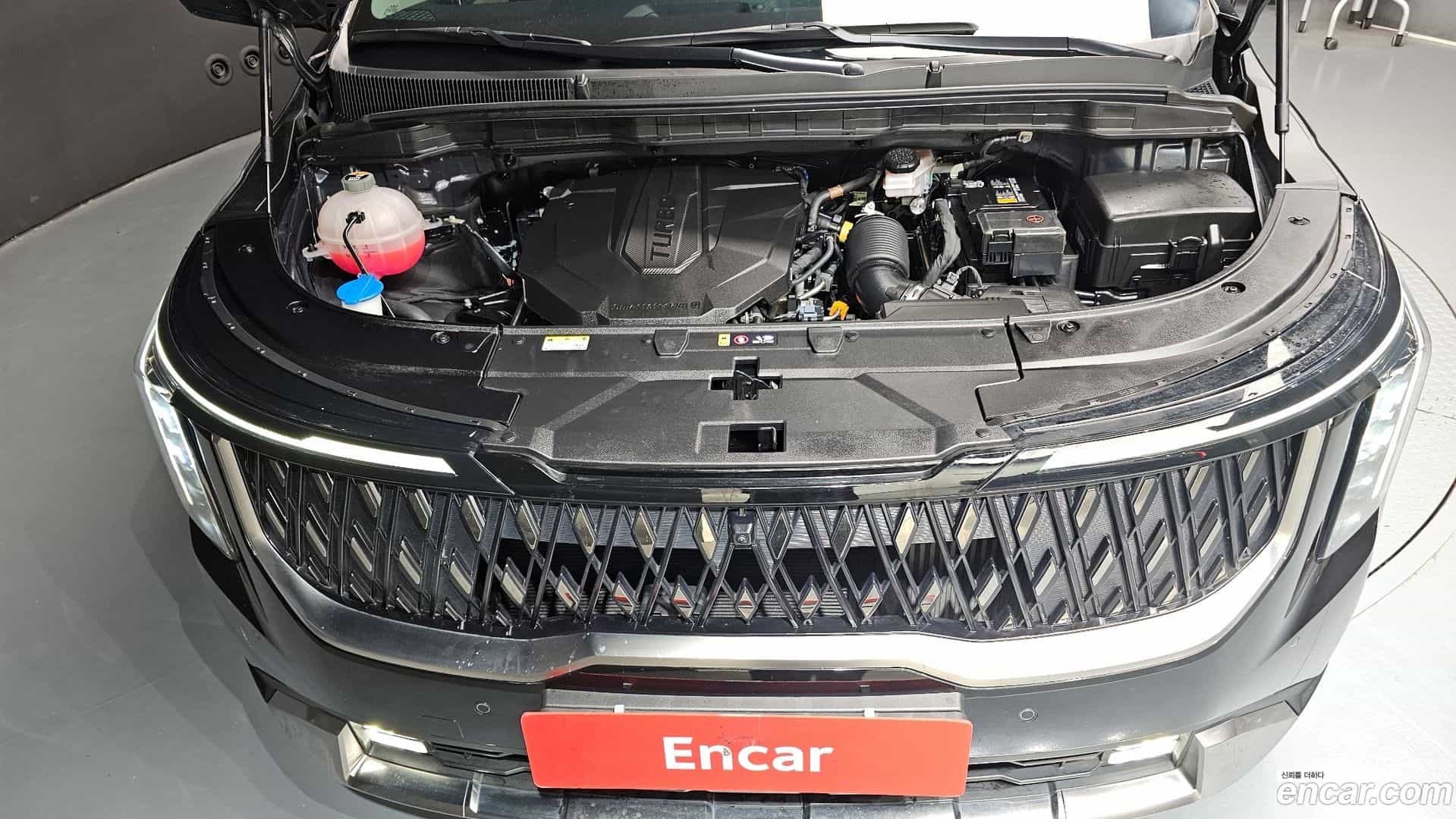 Canival Kia 2024.6-INNER-006