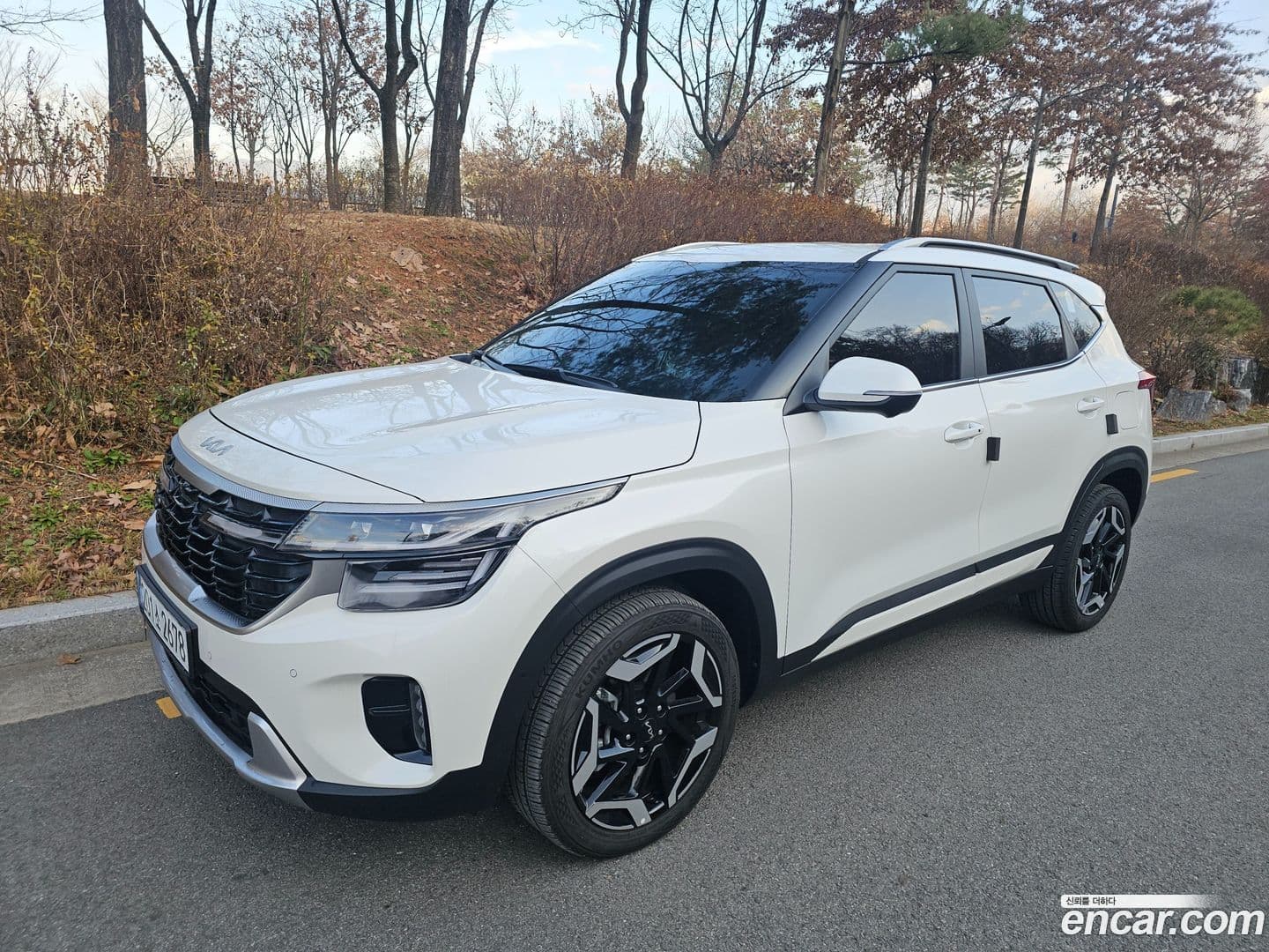 Main__Slider__Photo:Seltos Kia 2024.8-0