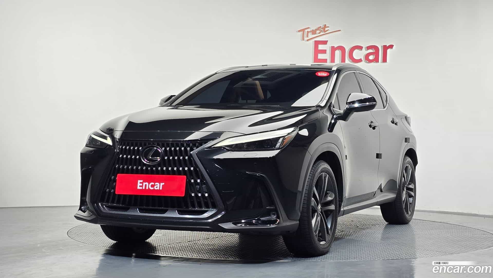 NX Lexus 2023.8-OUTER-001
