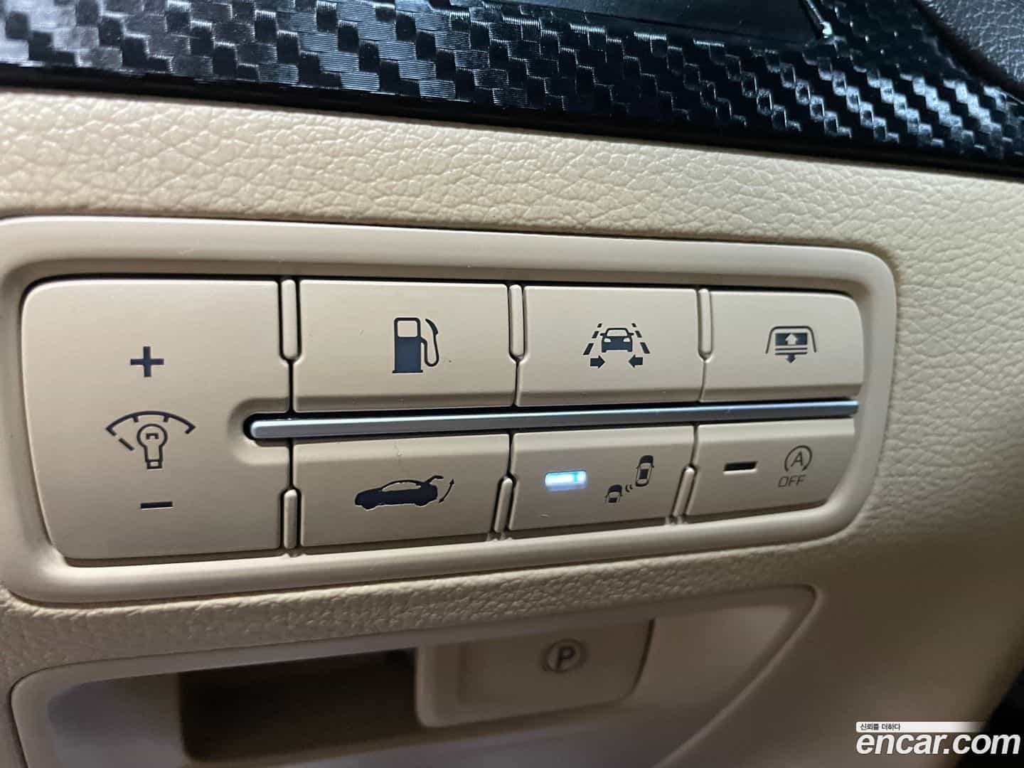 G80 Genesis 2018.2-OPTION-017
