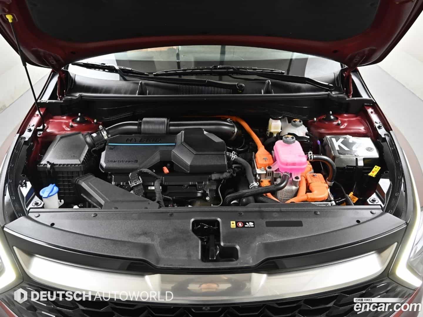 Sportage Kia 2022.11-INNER-006