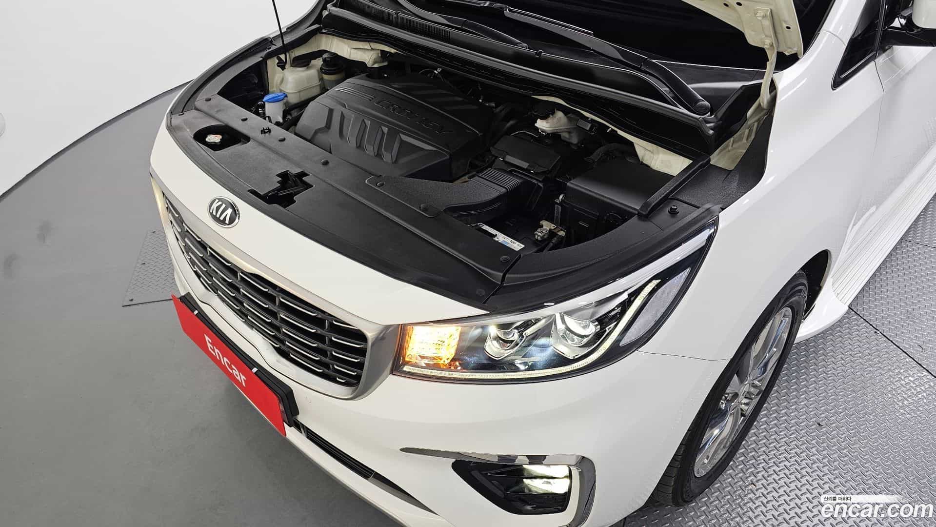 Canival Kia 2019.6-INNER-006
