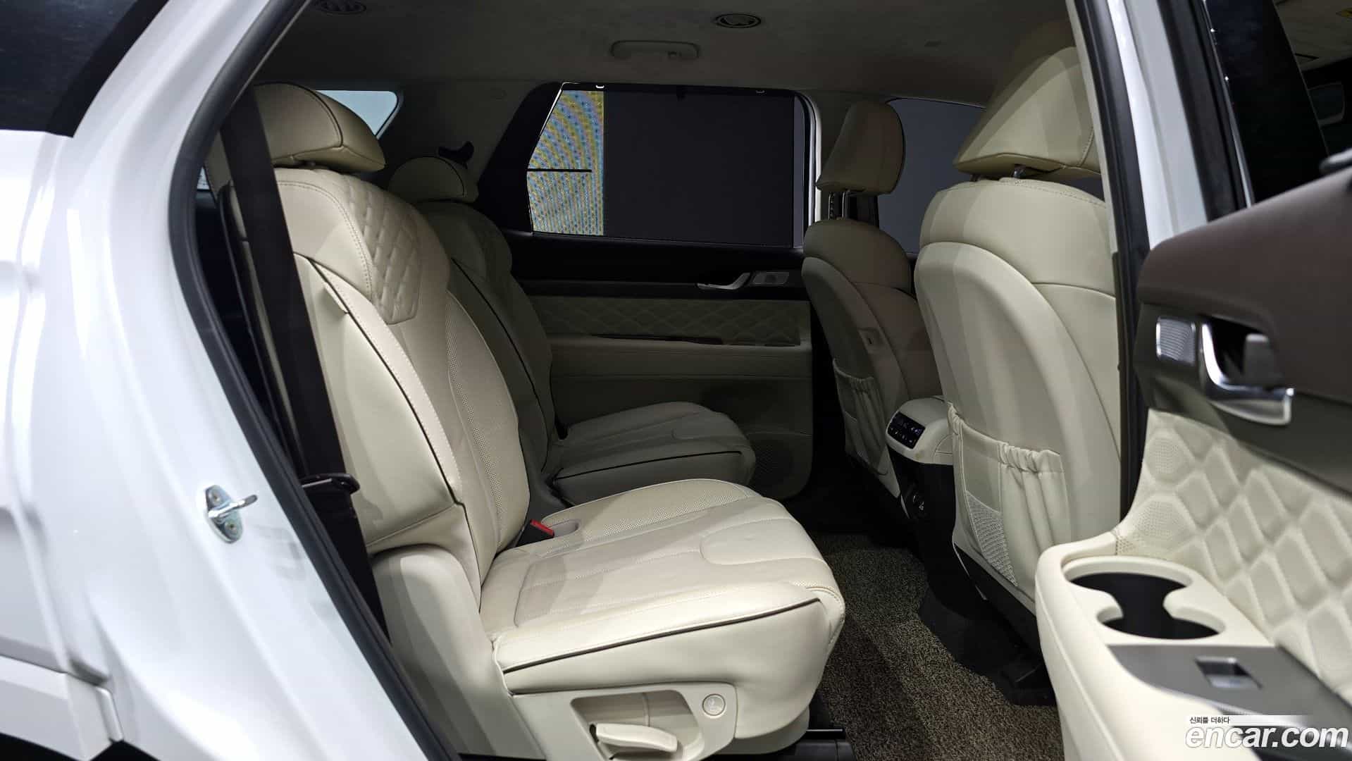Palisade Hyundai 2021.10-OPTION-016
