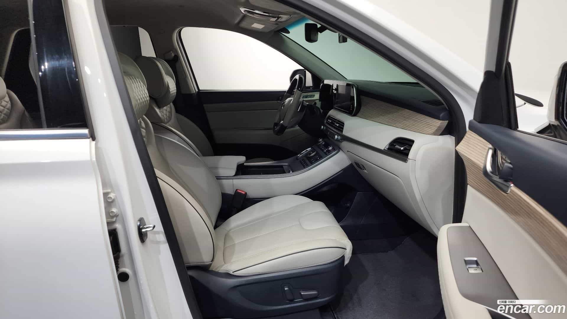 Palisade Hyundai 2020.4-OPTION-015