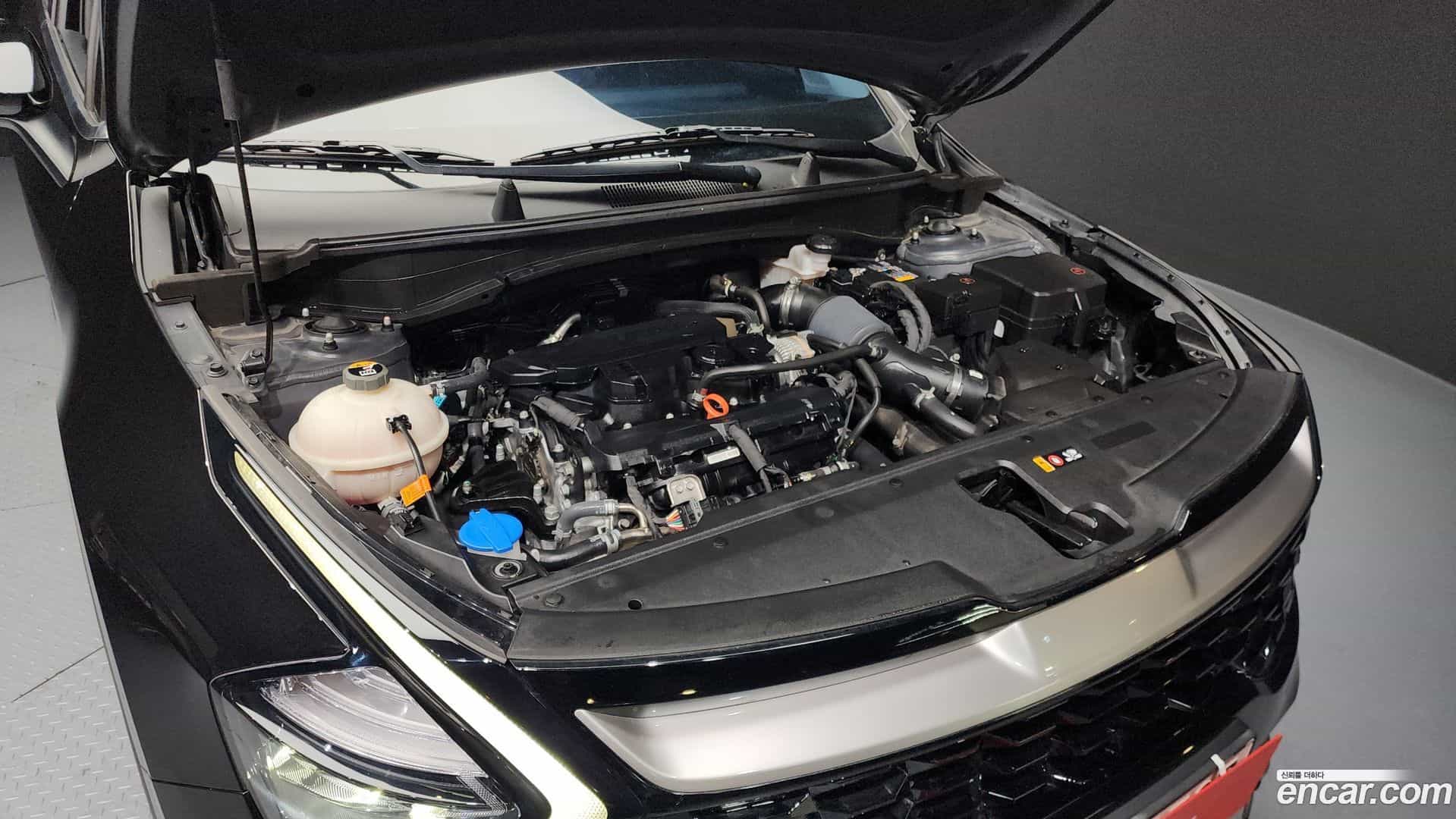 Sportage Kia 2023.2-INNER-006