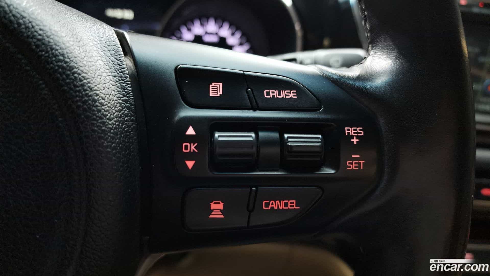 Canival Kia 2017.2-OPTION-020