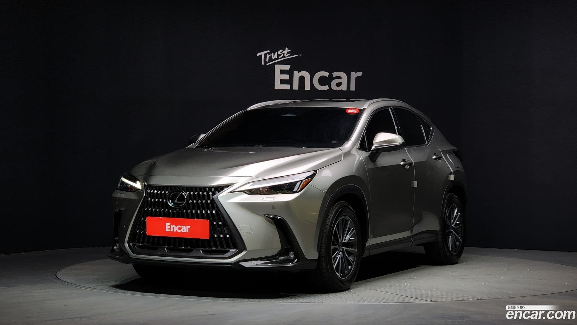 Main__Slider__Photo:NX Lexus 2023.3-0