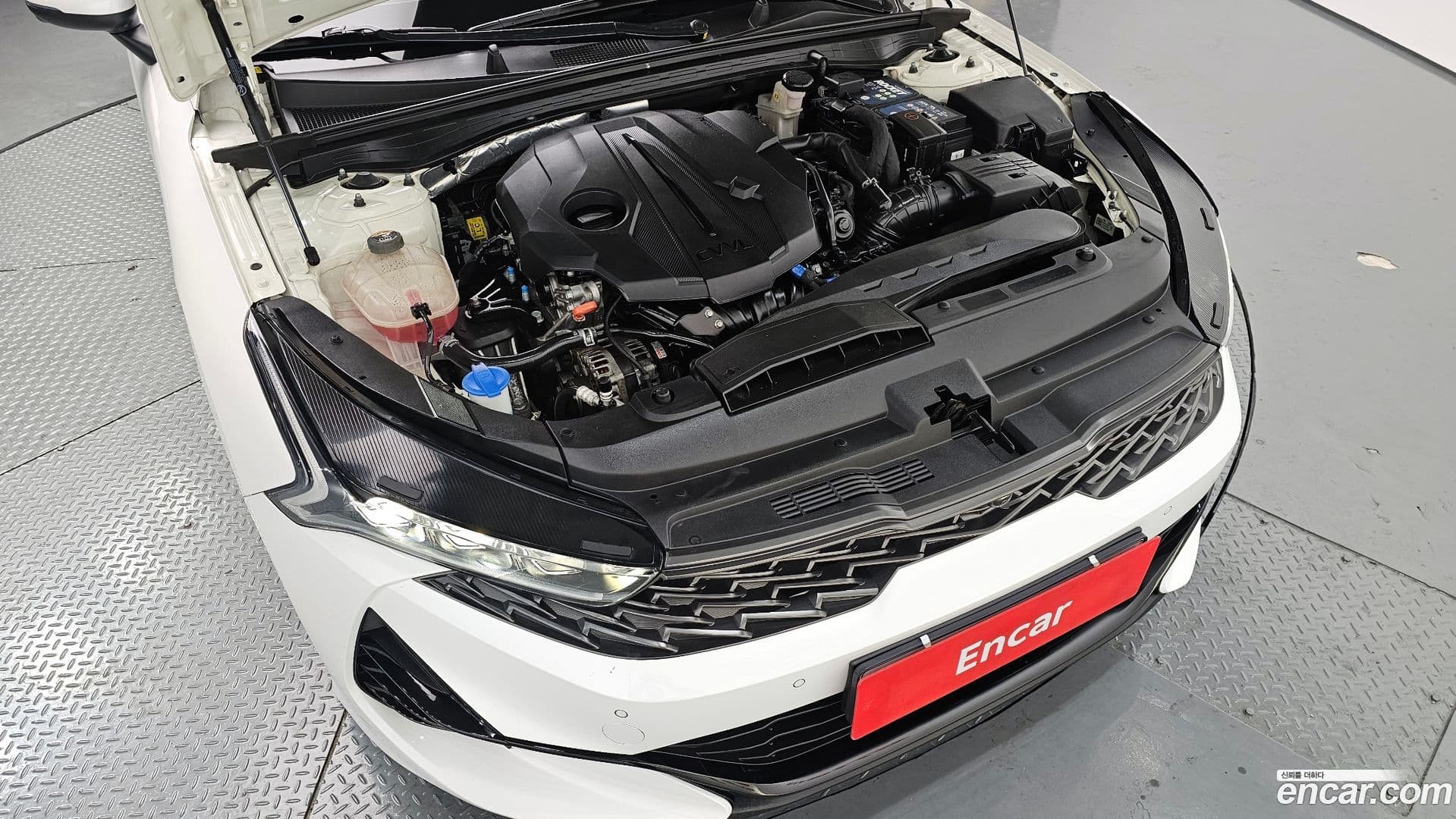 Main__Slider__Photo:K5 Kia 2019.11-5