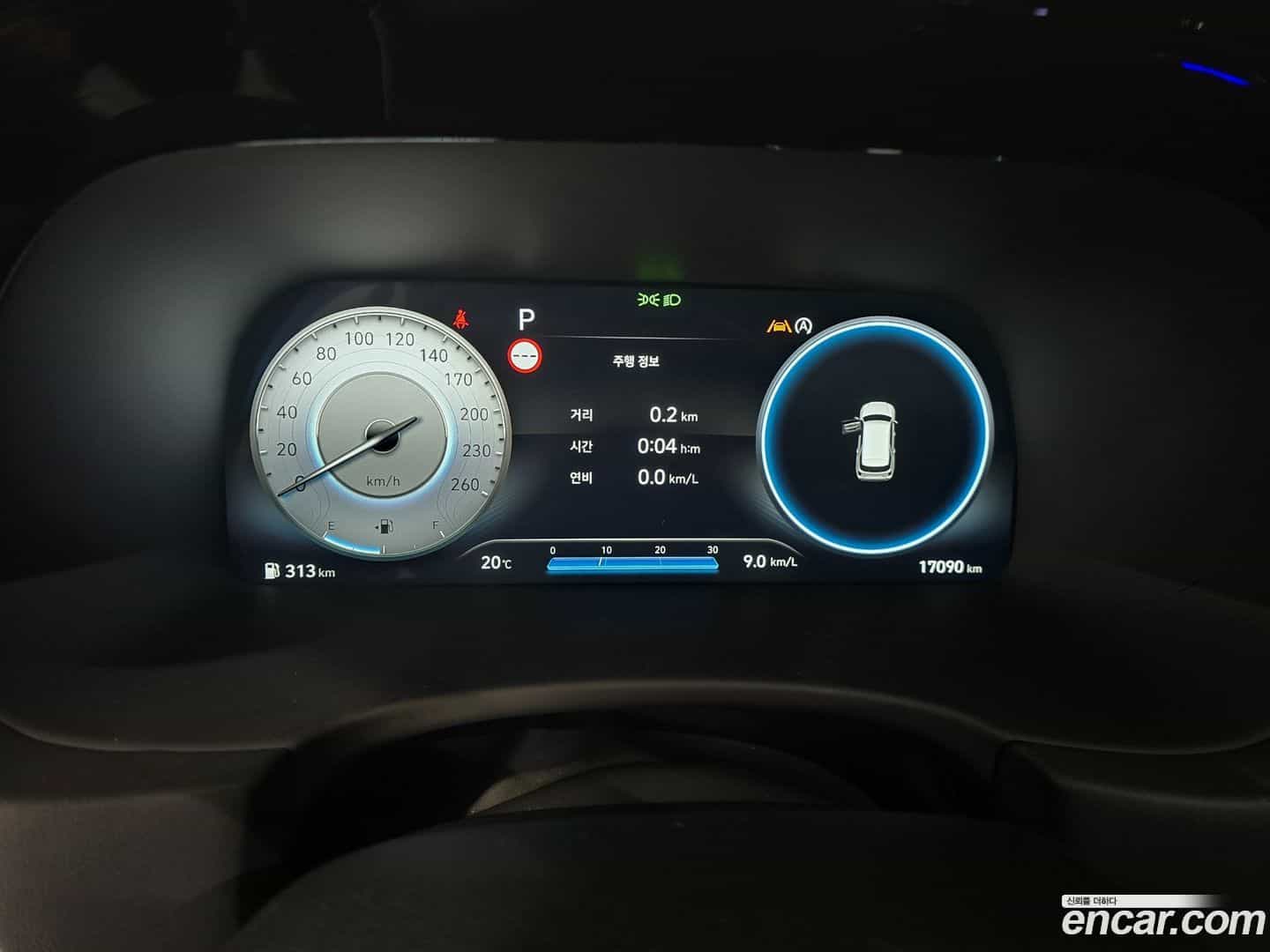 Palisade Hyundai 2023.1-OPTION-015
