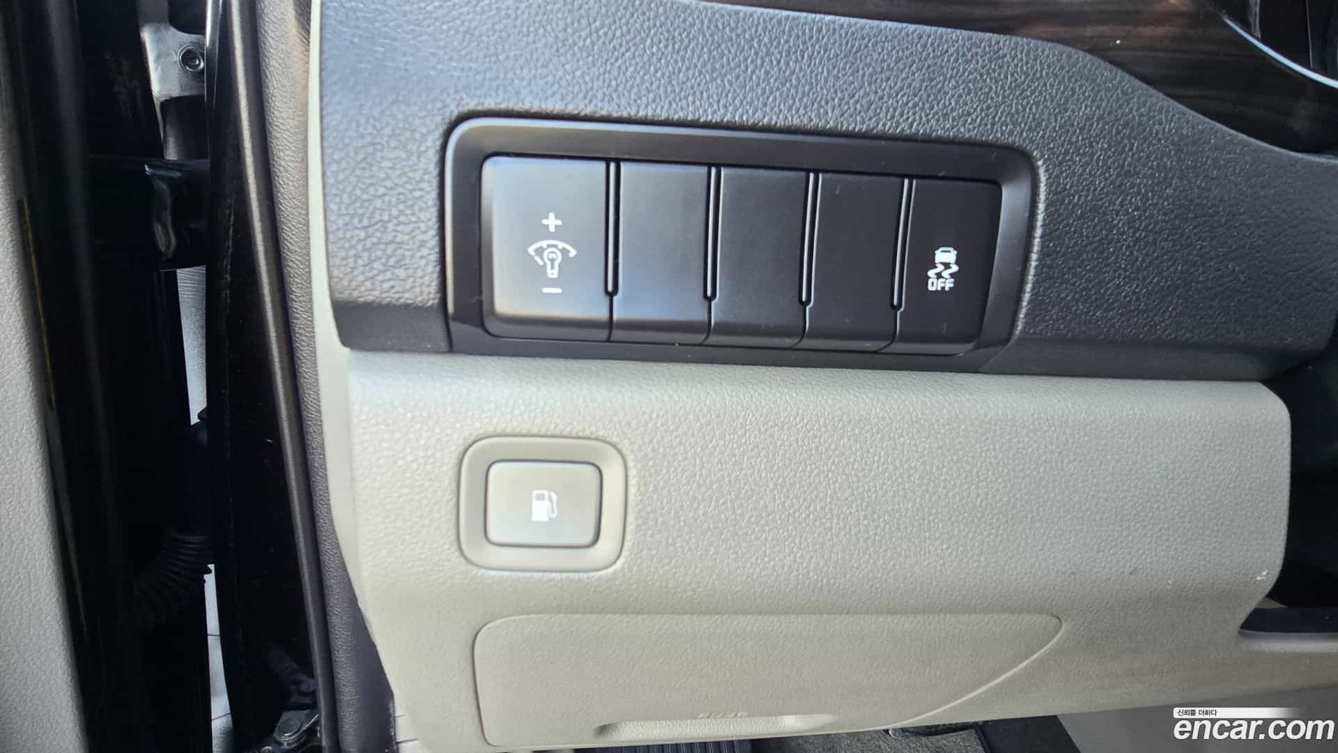 Canival Kia 2019.11-OPTION-016