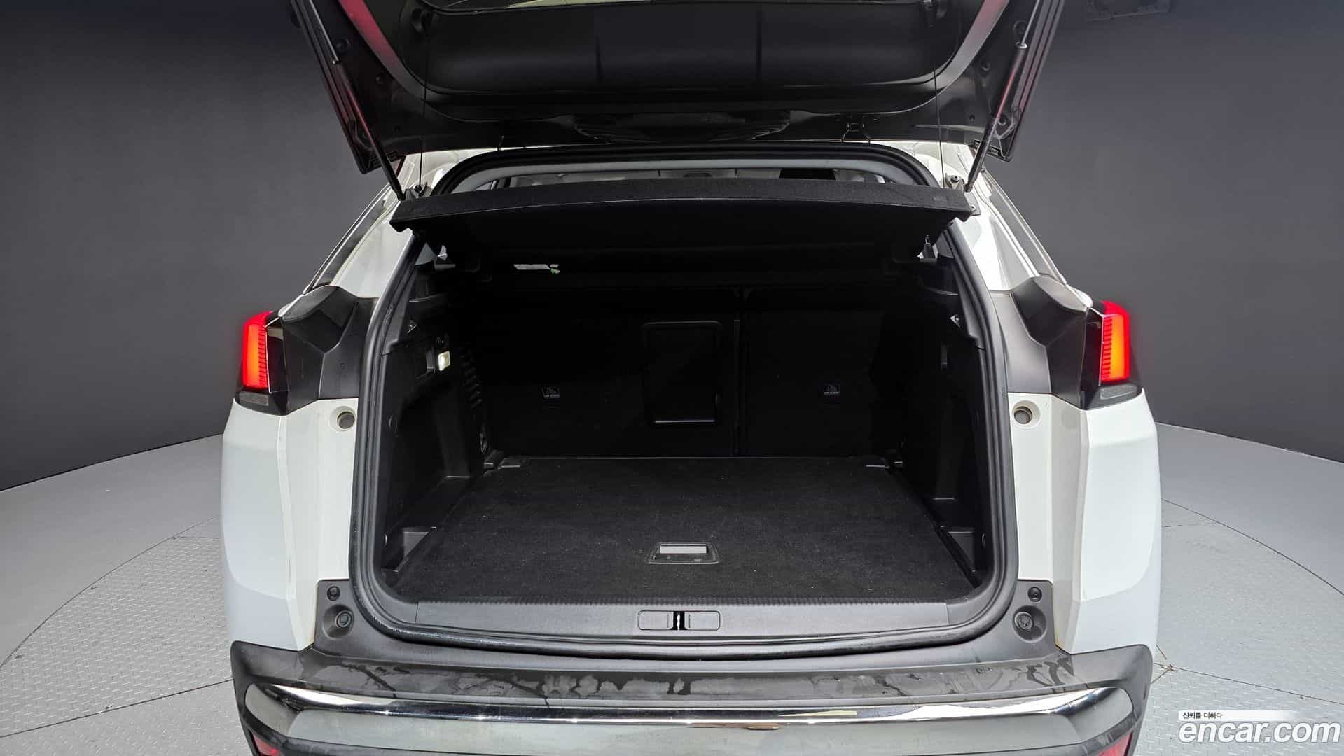 3008 Peugeot 2017.3-OPTION-024