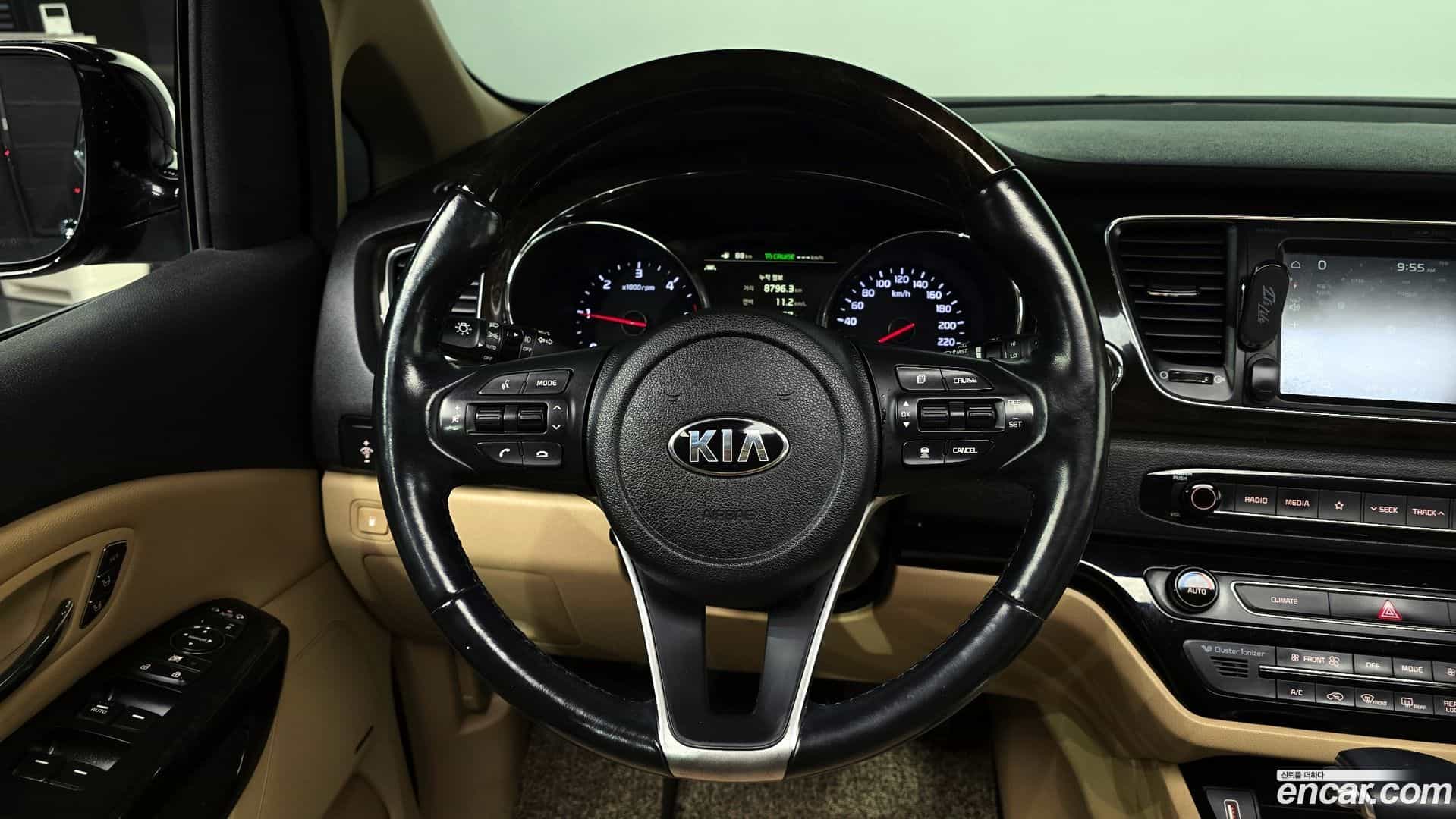 Canival Kia 2019.3-OPTION-017