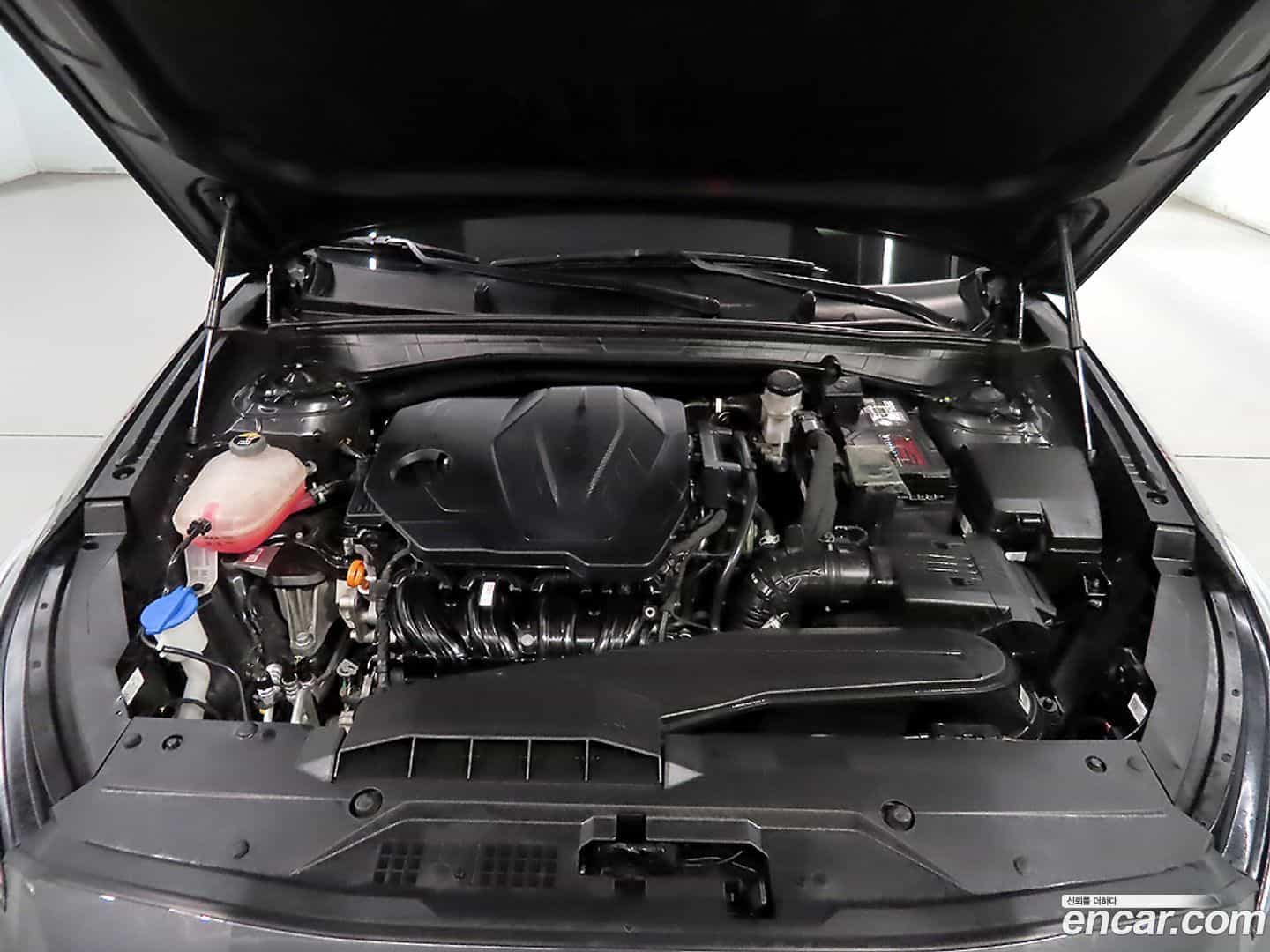K8 Kia 2022.0-OPTION-023