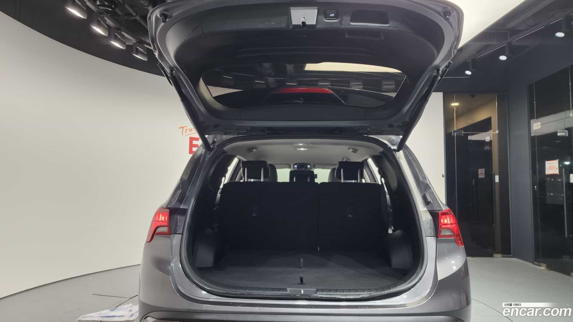 Santafe Hyundai 2022.11-OPTION-024