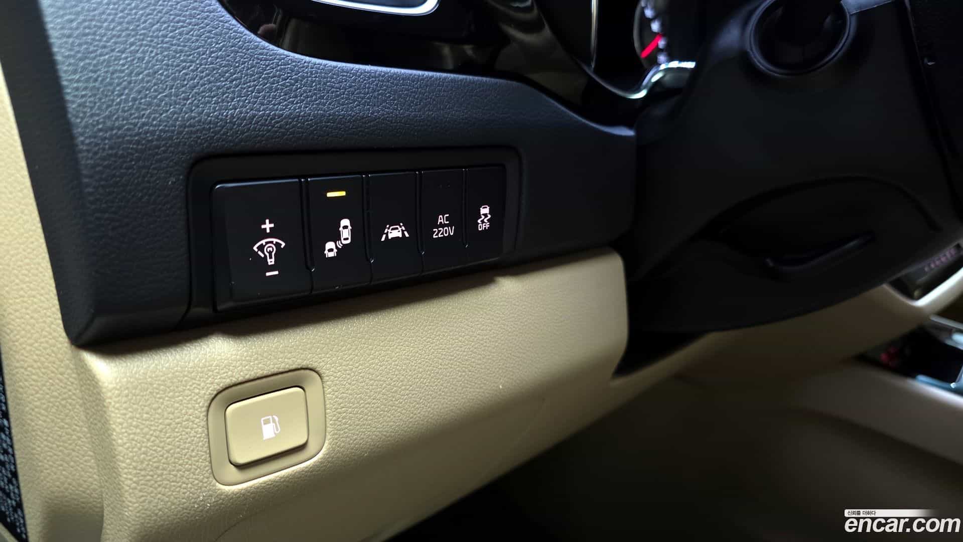 Canival Kia 2016.10-OPTION-019