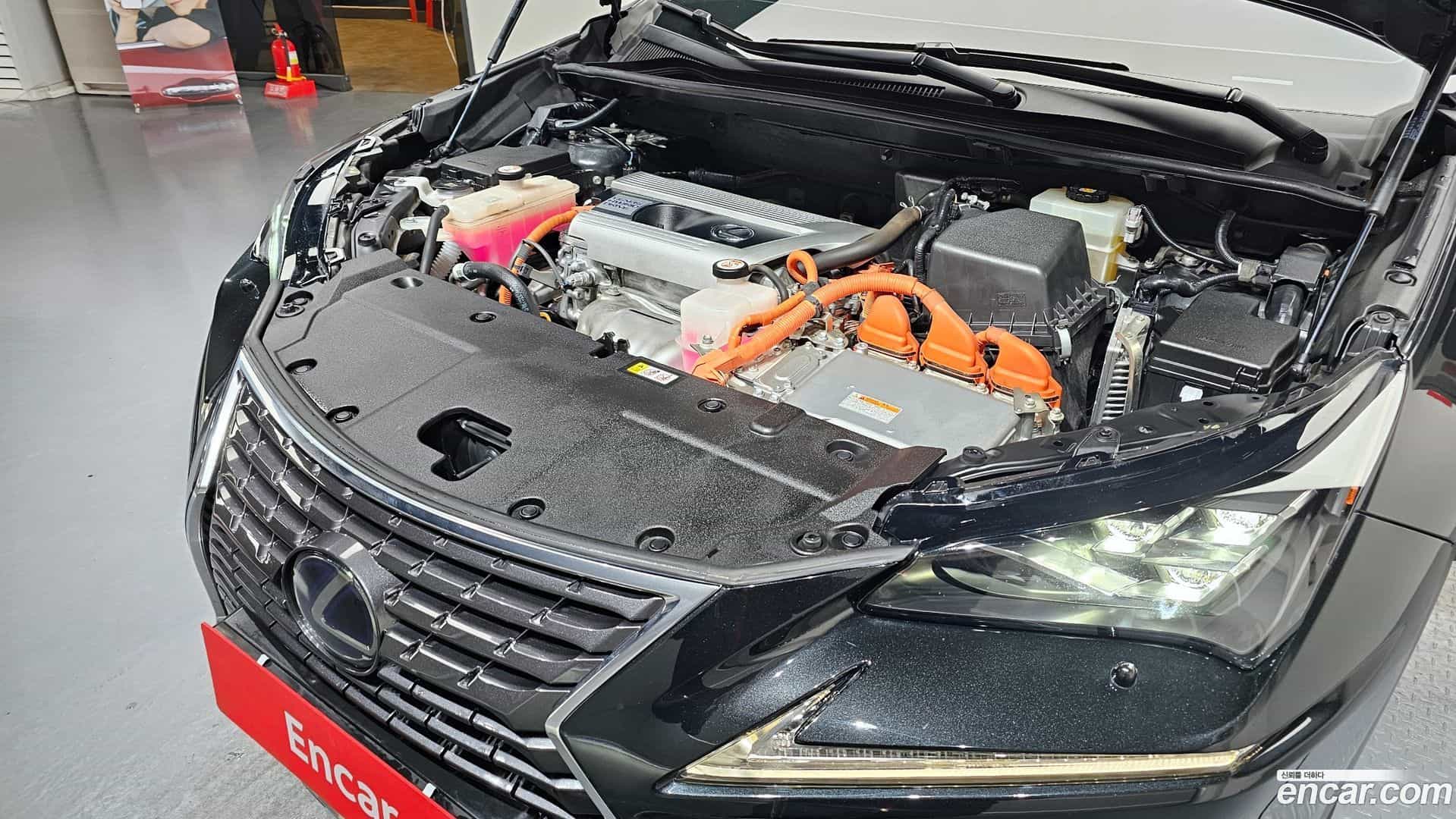 NX Lexus 2020.4-INNER-006