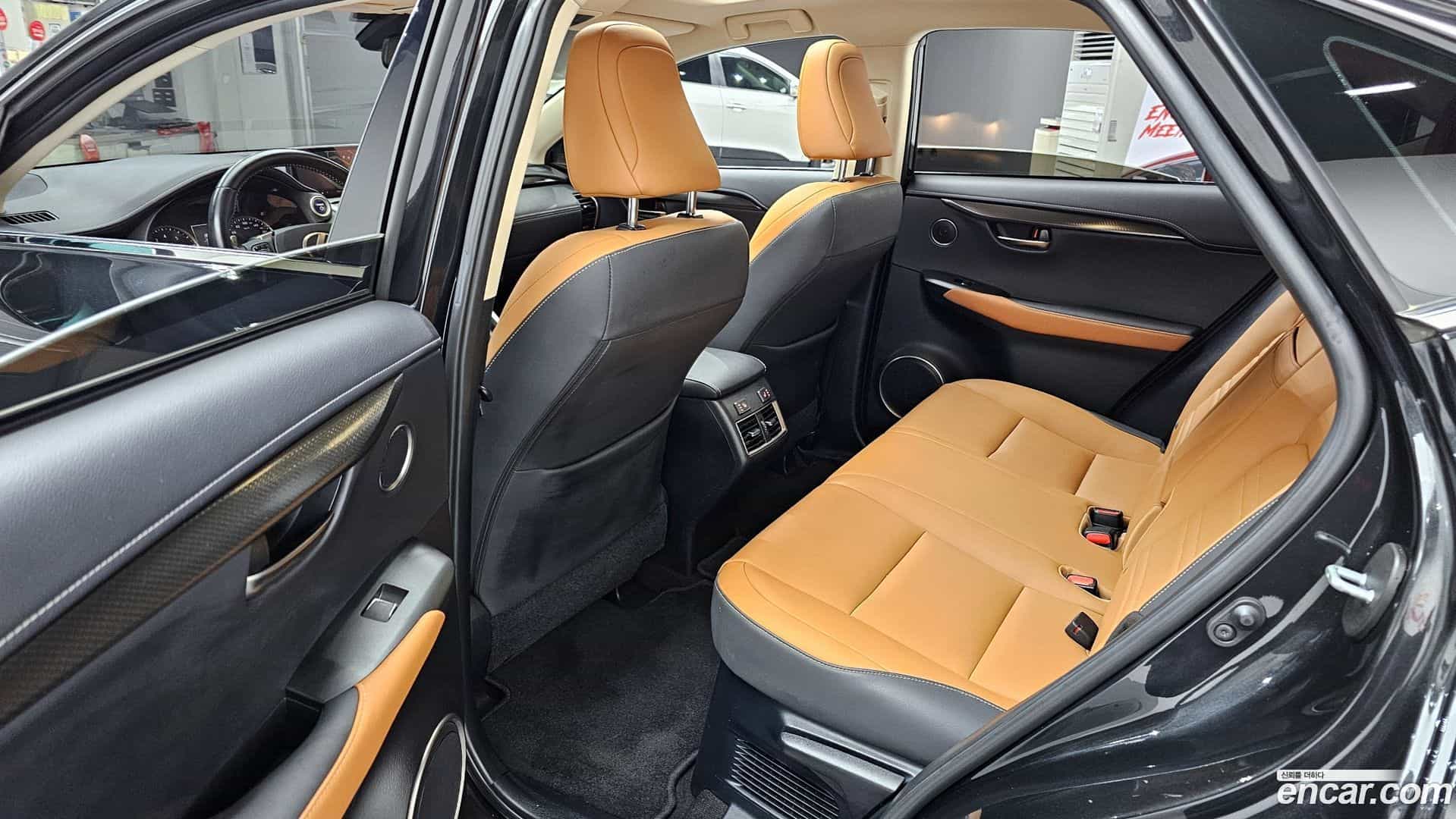 NX Lexus 2020.4-OPTION-015