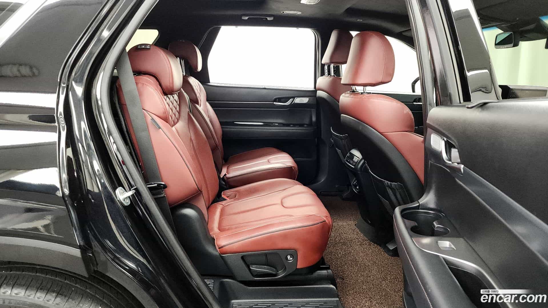 Palisade Hyundai 2019.0-OPTION-016